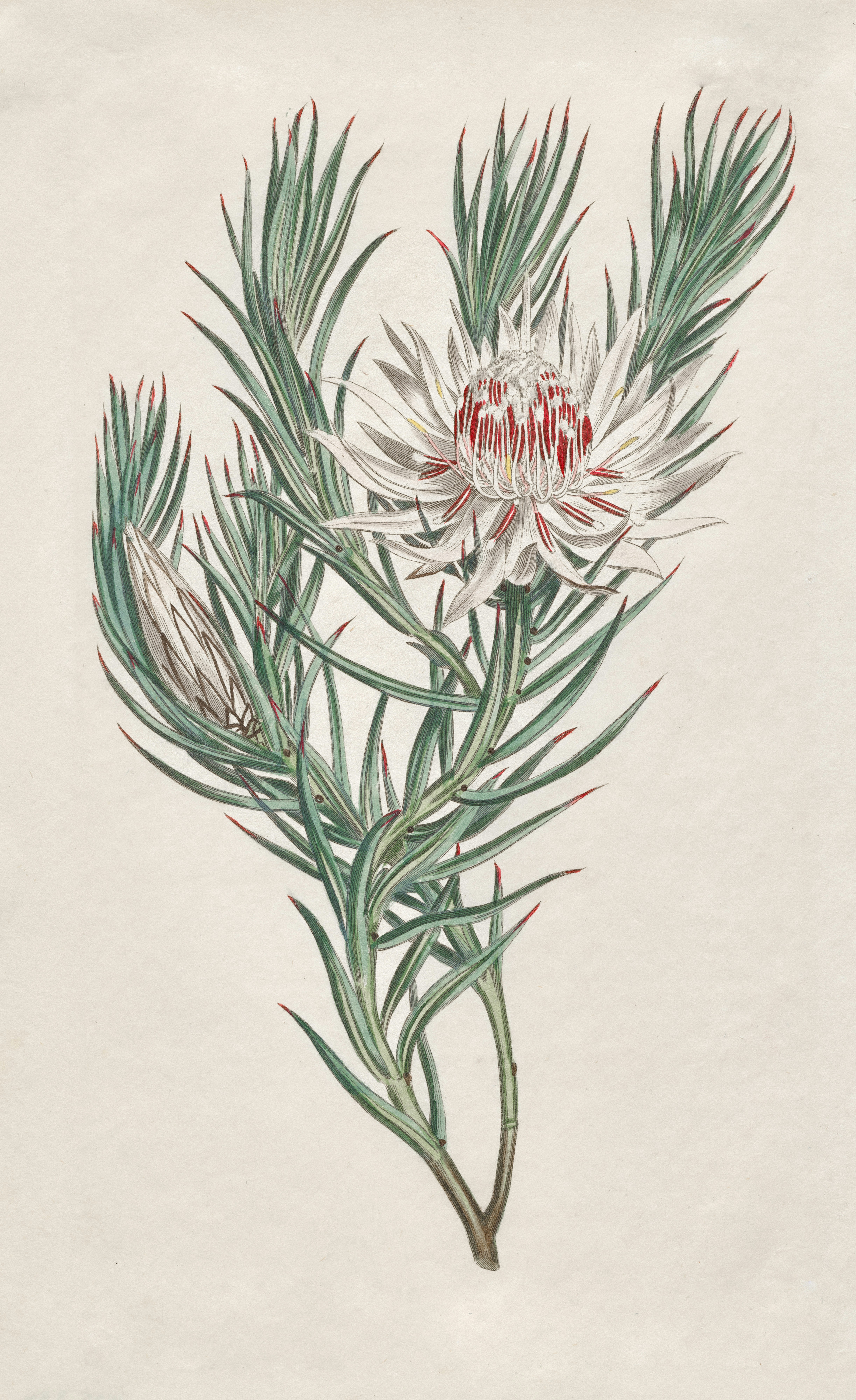 Photo by clevelandart