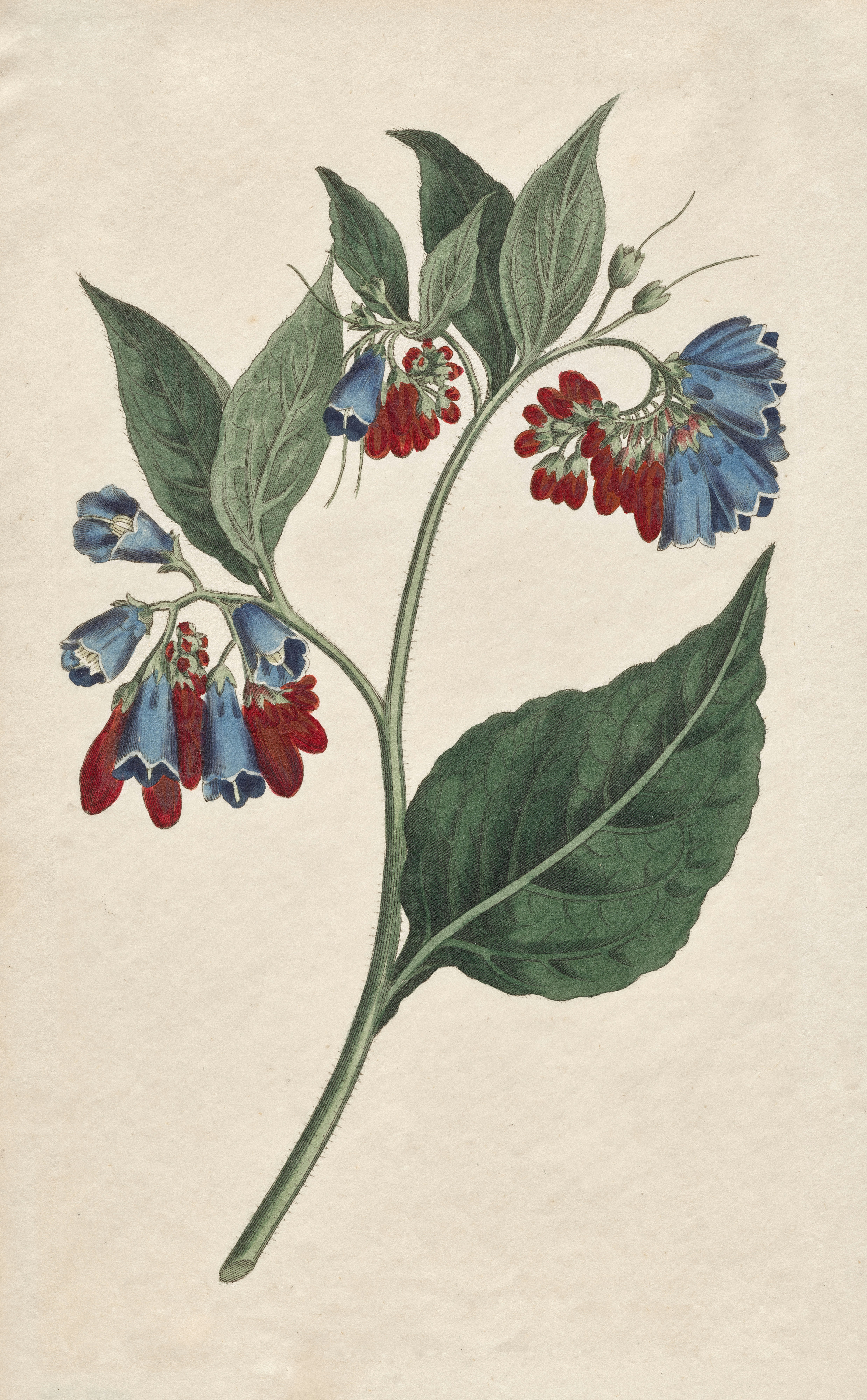 Photo by clevelandart