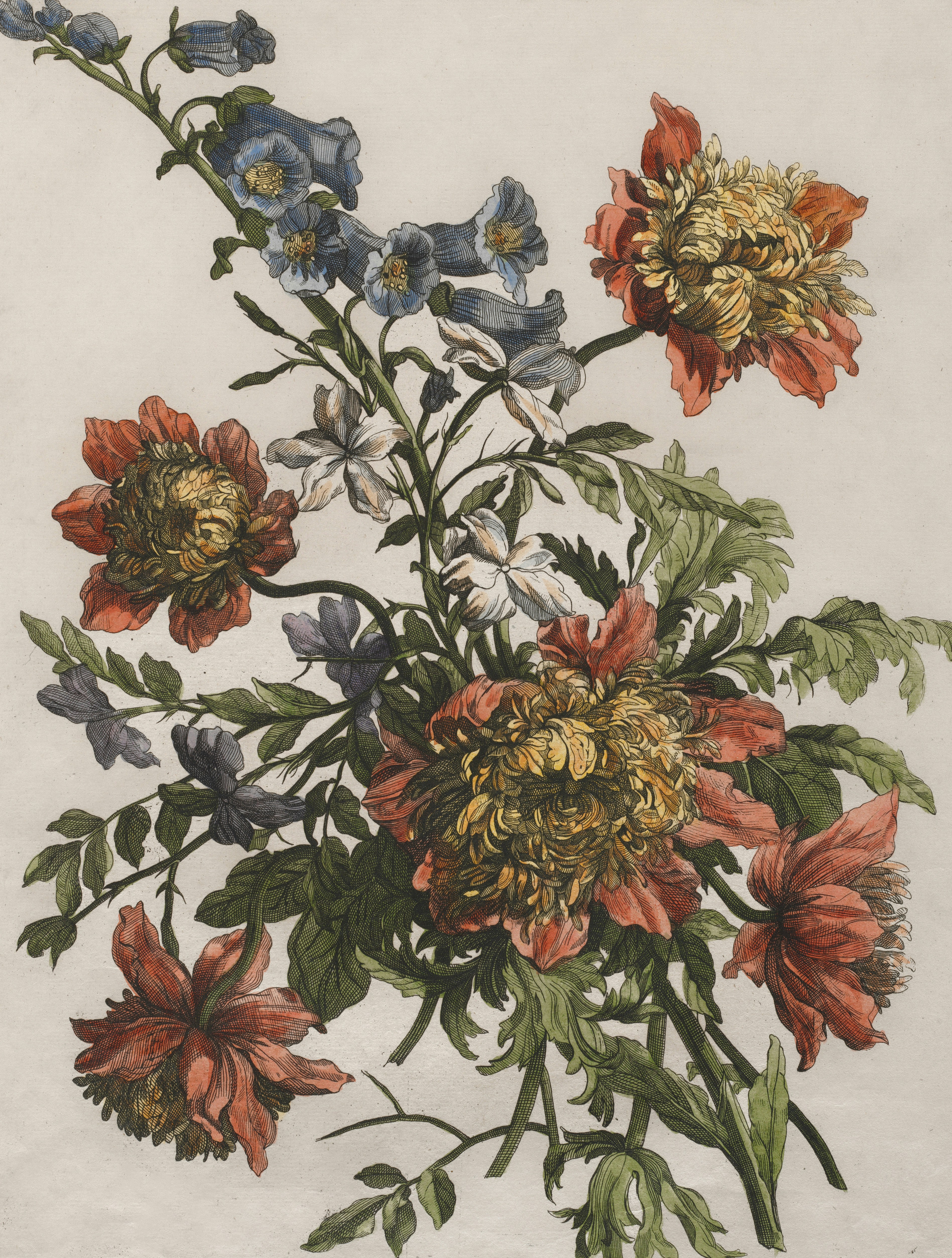 Photo by clevelandart