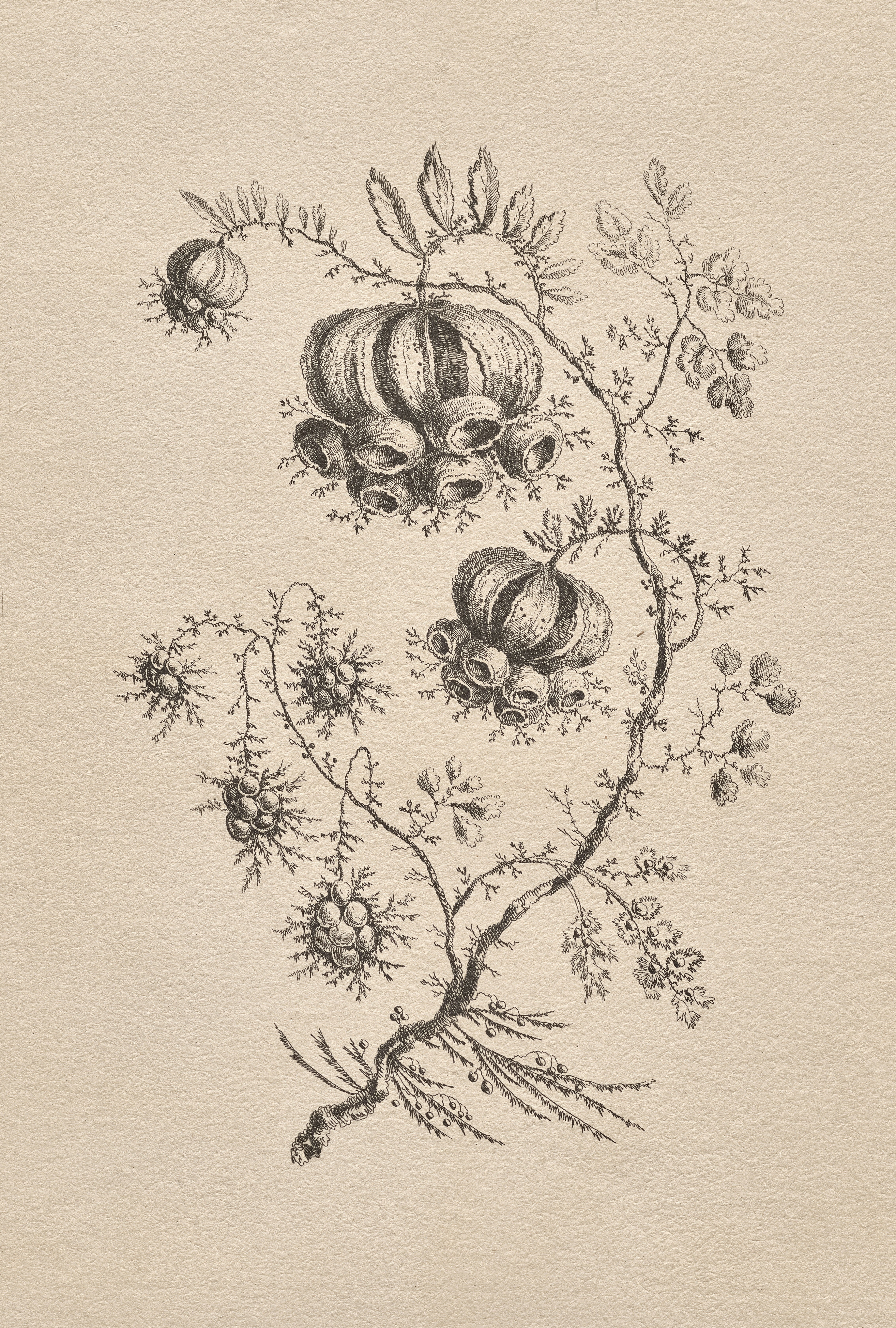 Photo by clevelandart