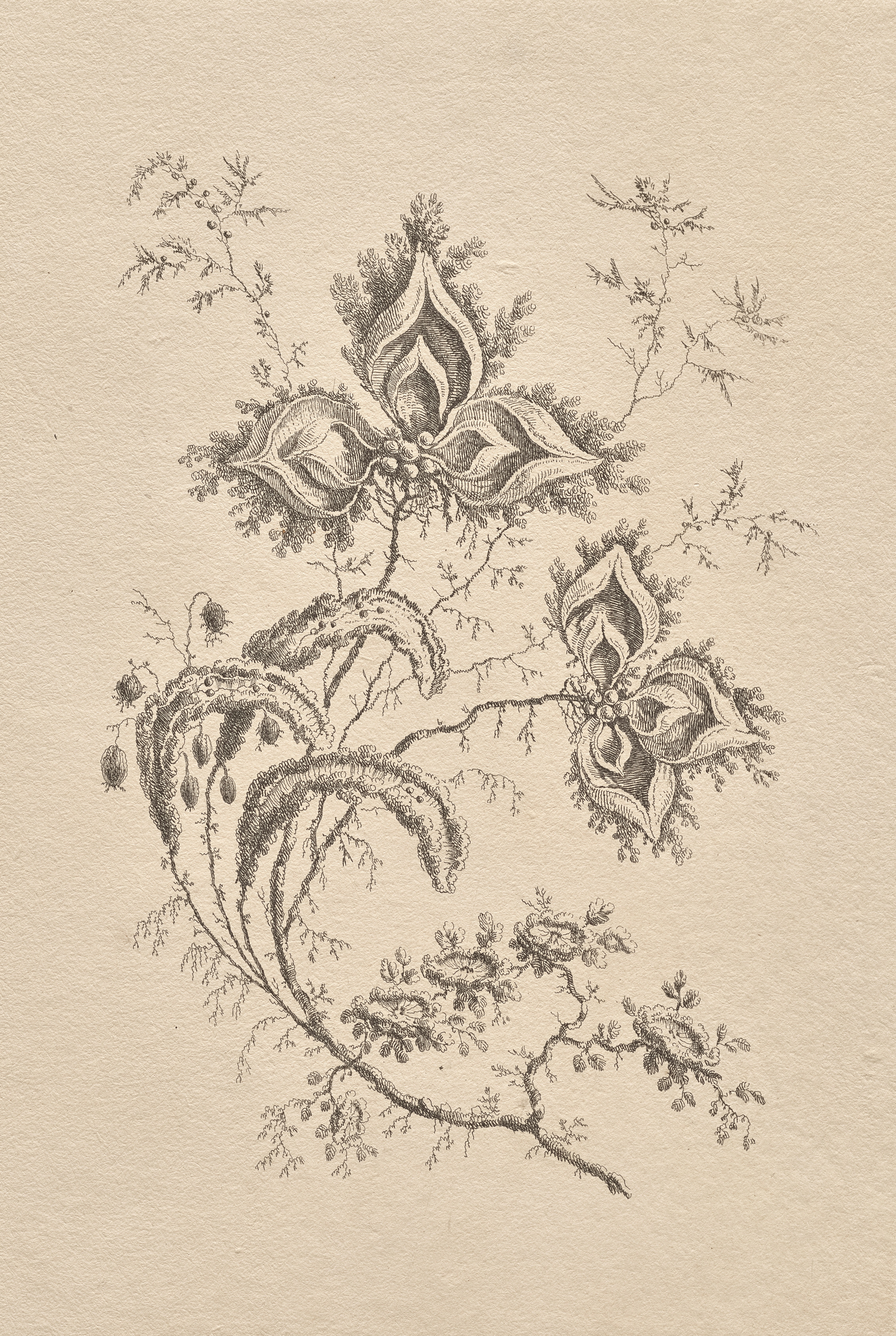 a drawing of a flower on a piece of paper