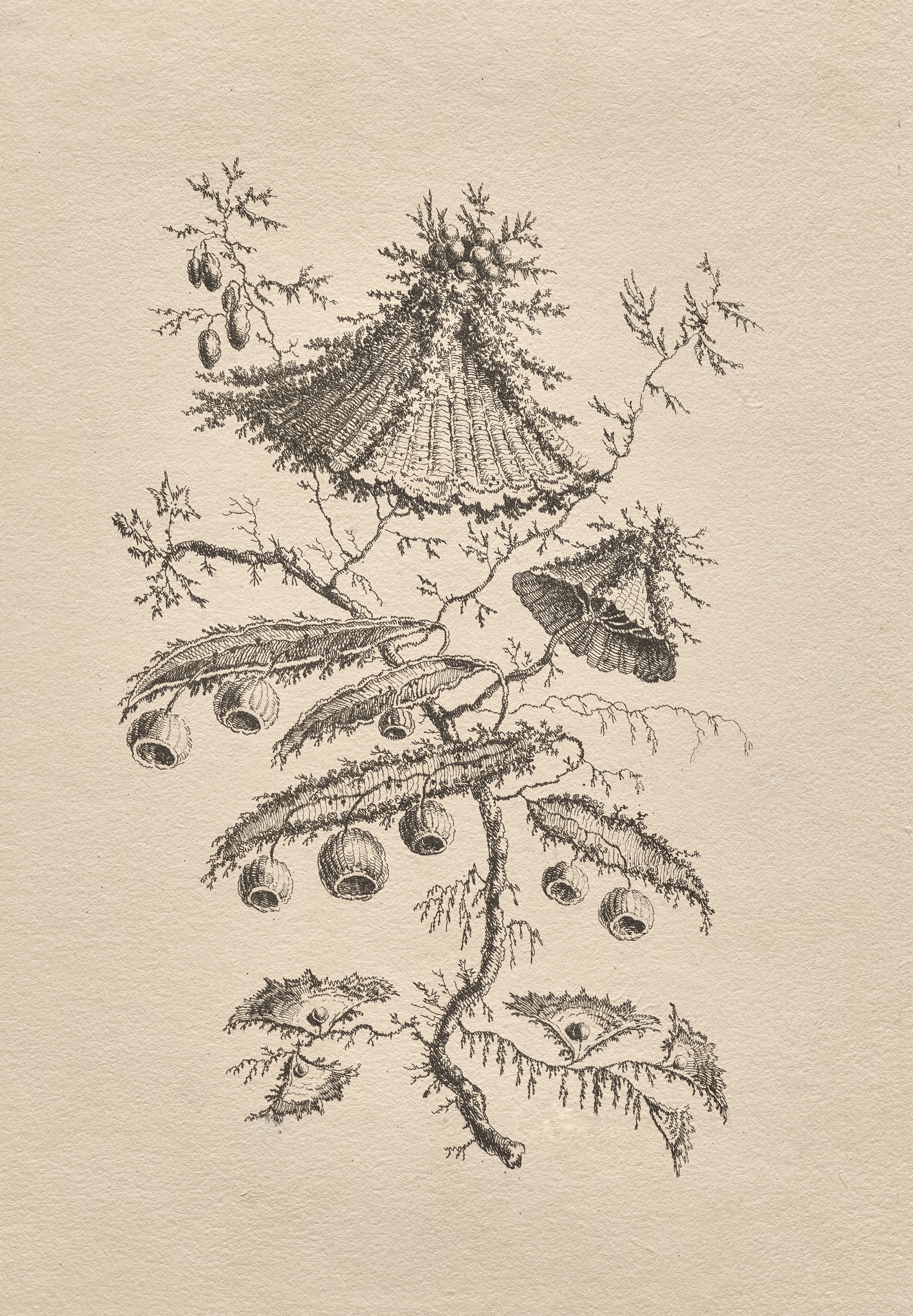 Photo by clevelandart