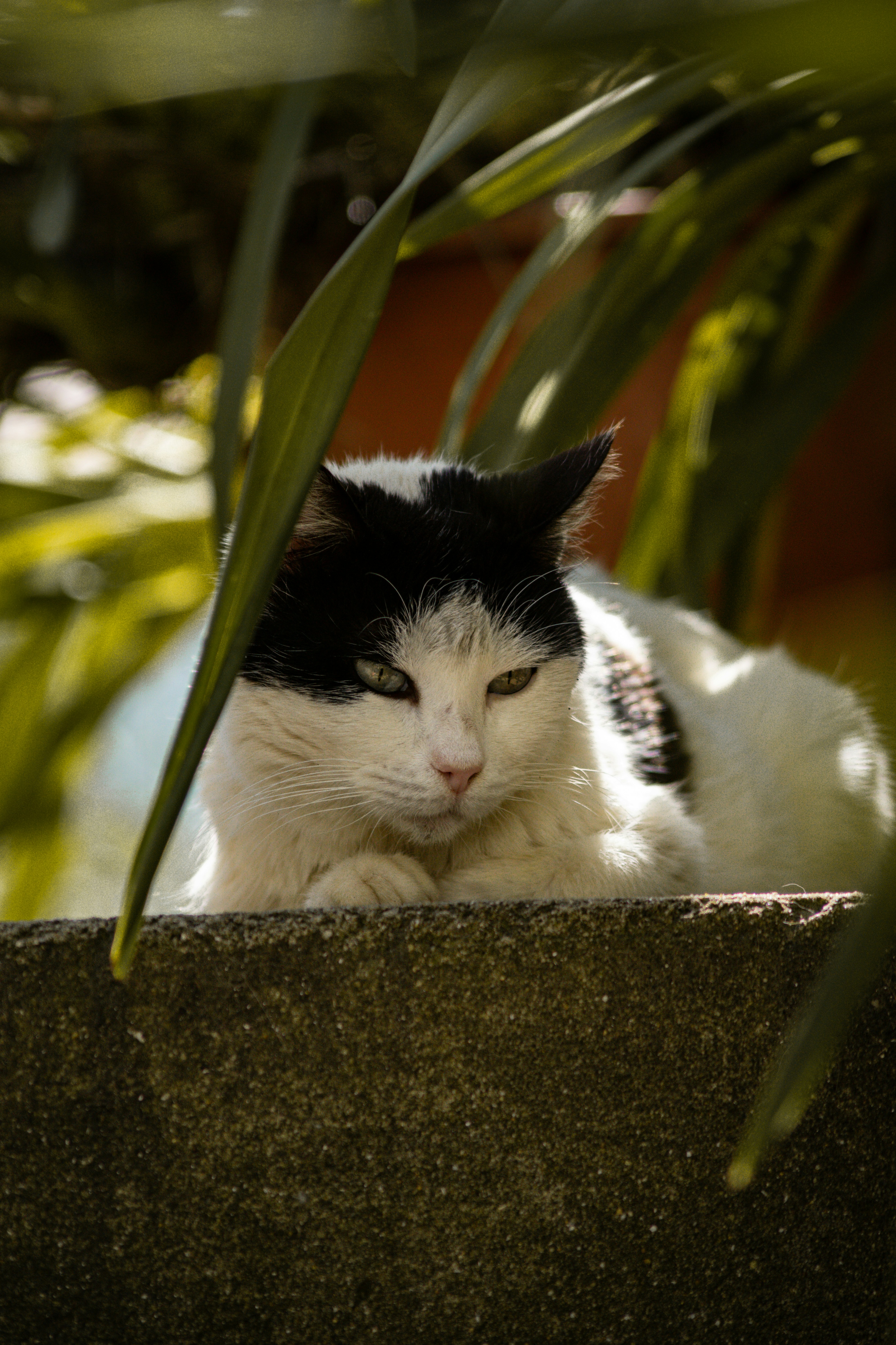 Photo by diogocardoso28