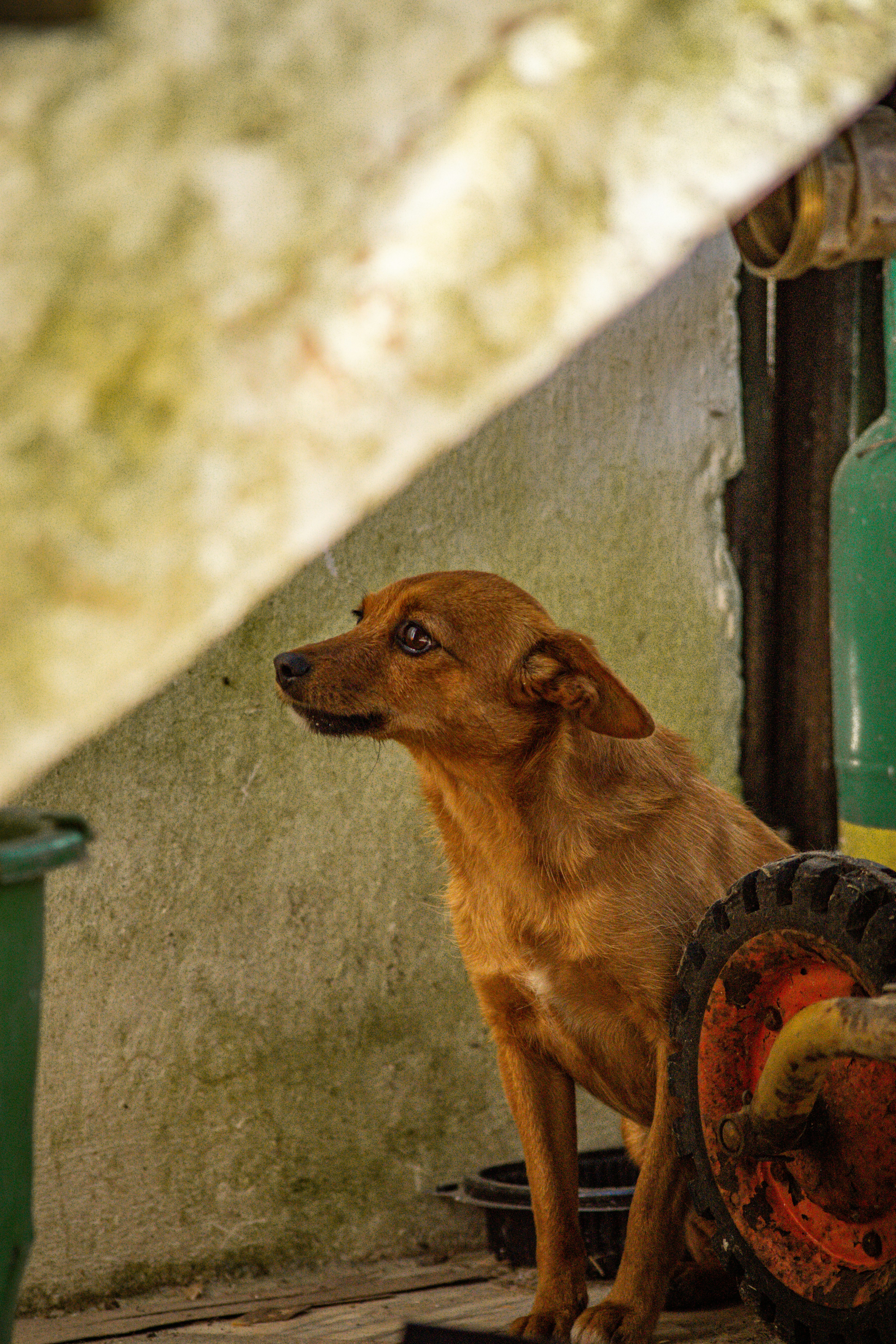 Photo by diogocardoso28