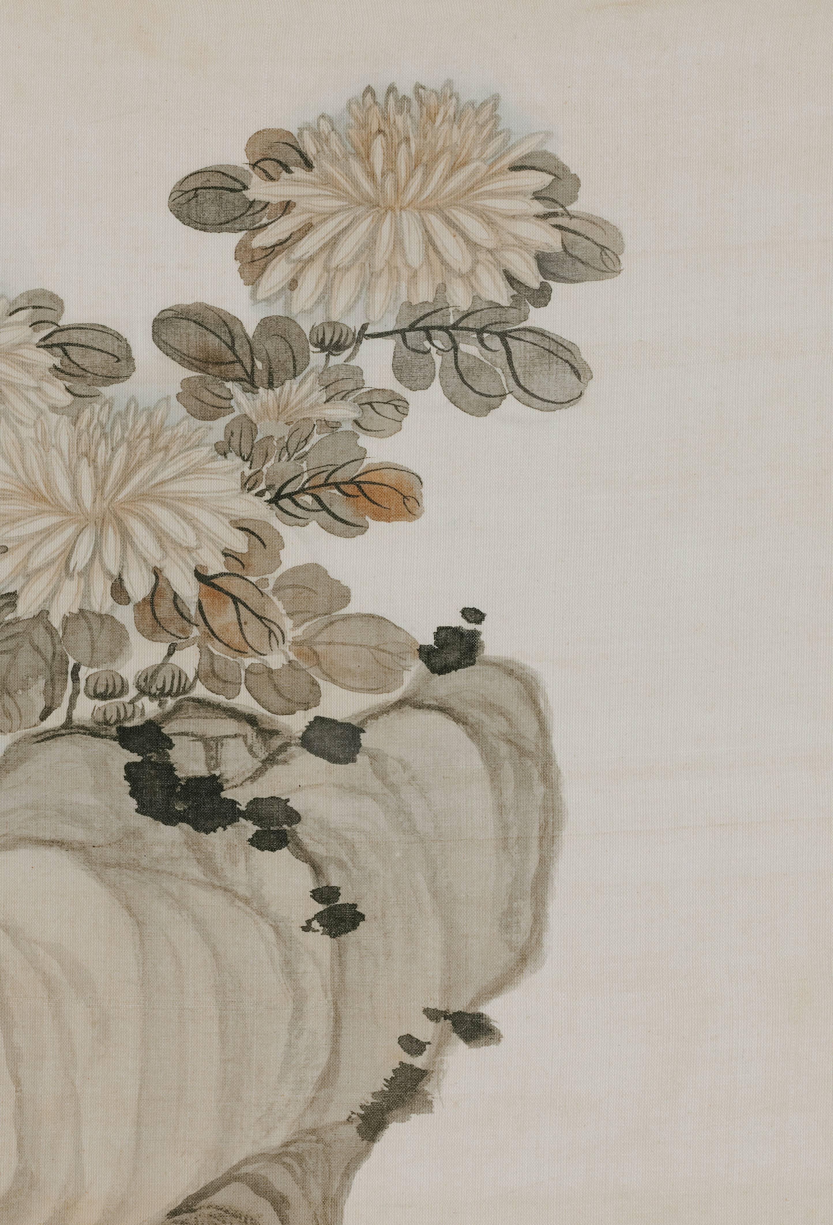 Photo by clevelandart