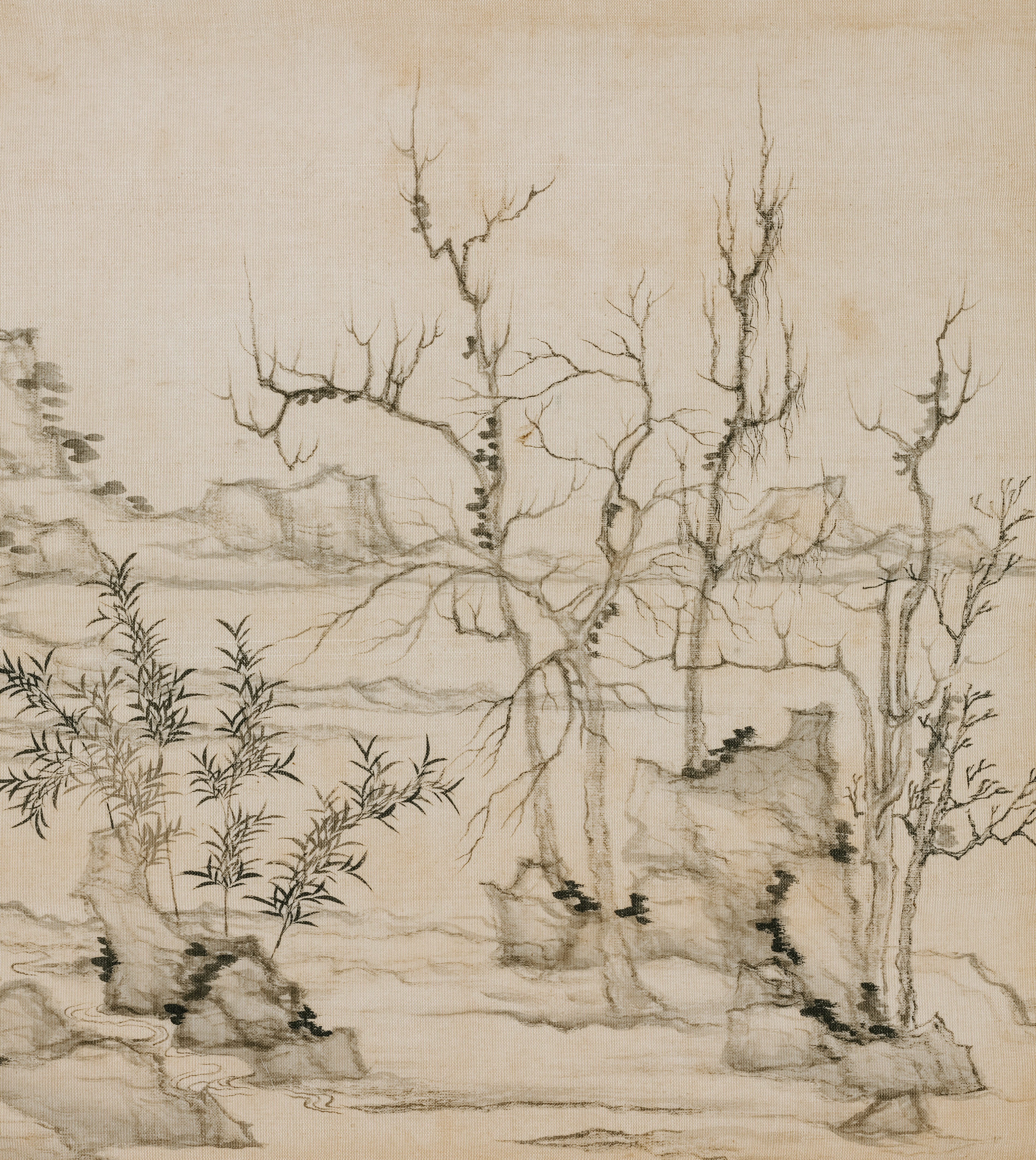 Photo by clevelandart