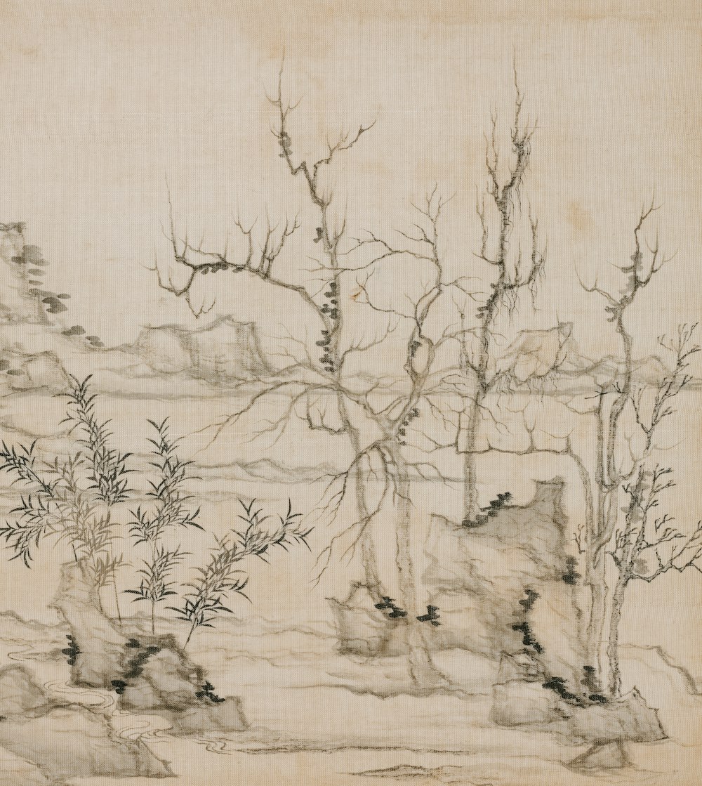 a drawing of a landscape with trees and rocks