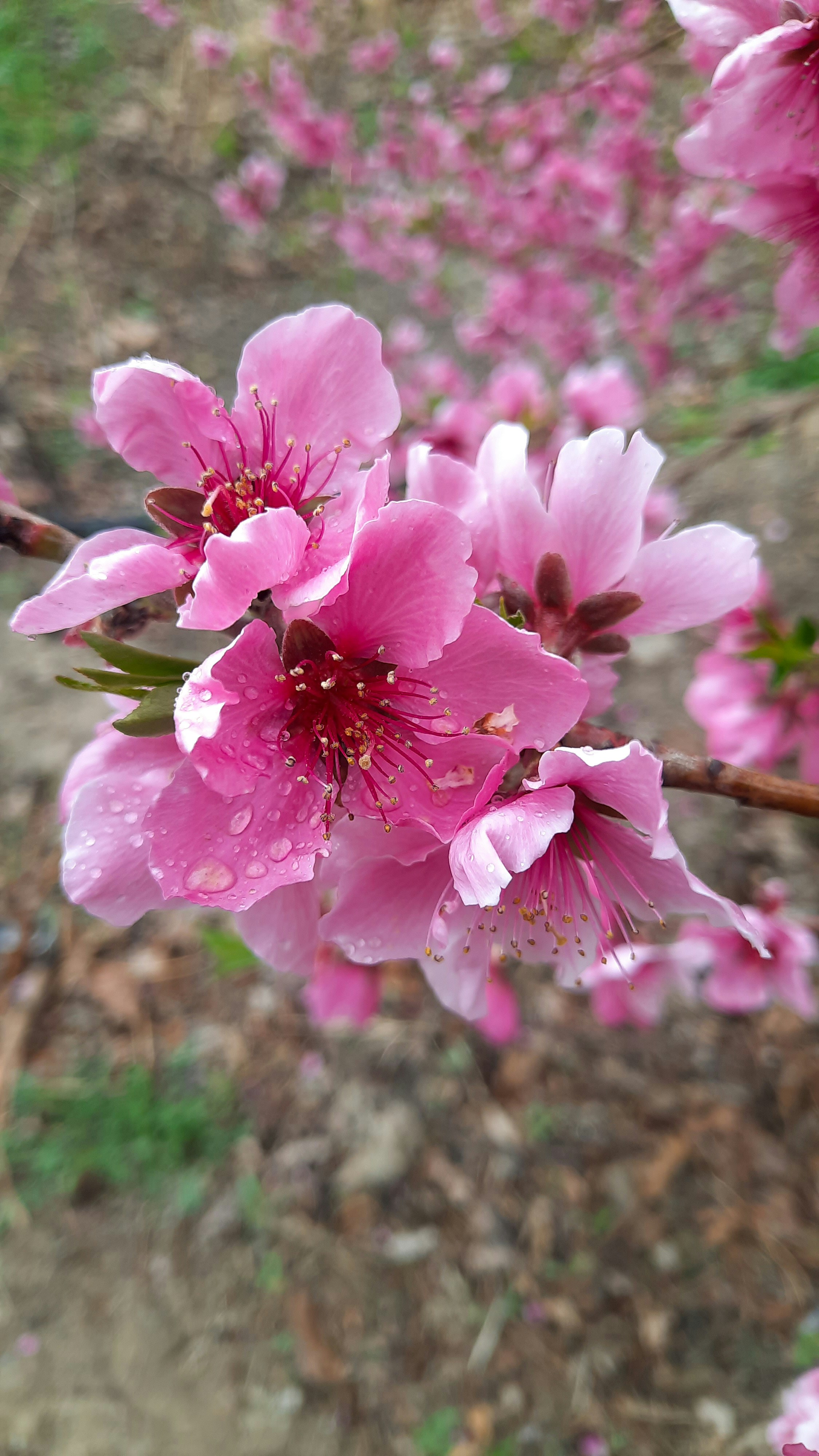 Photo by fatima_mk79