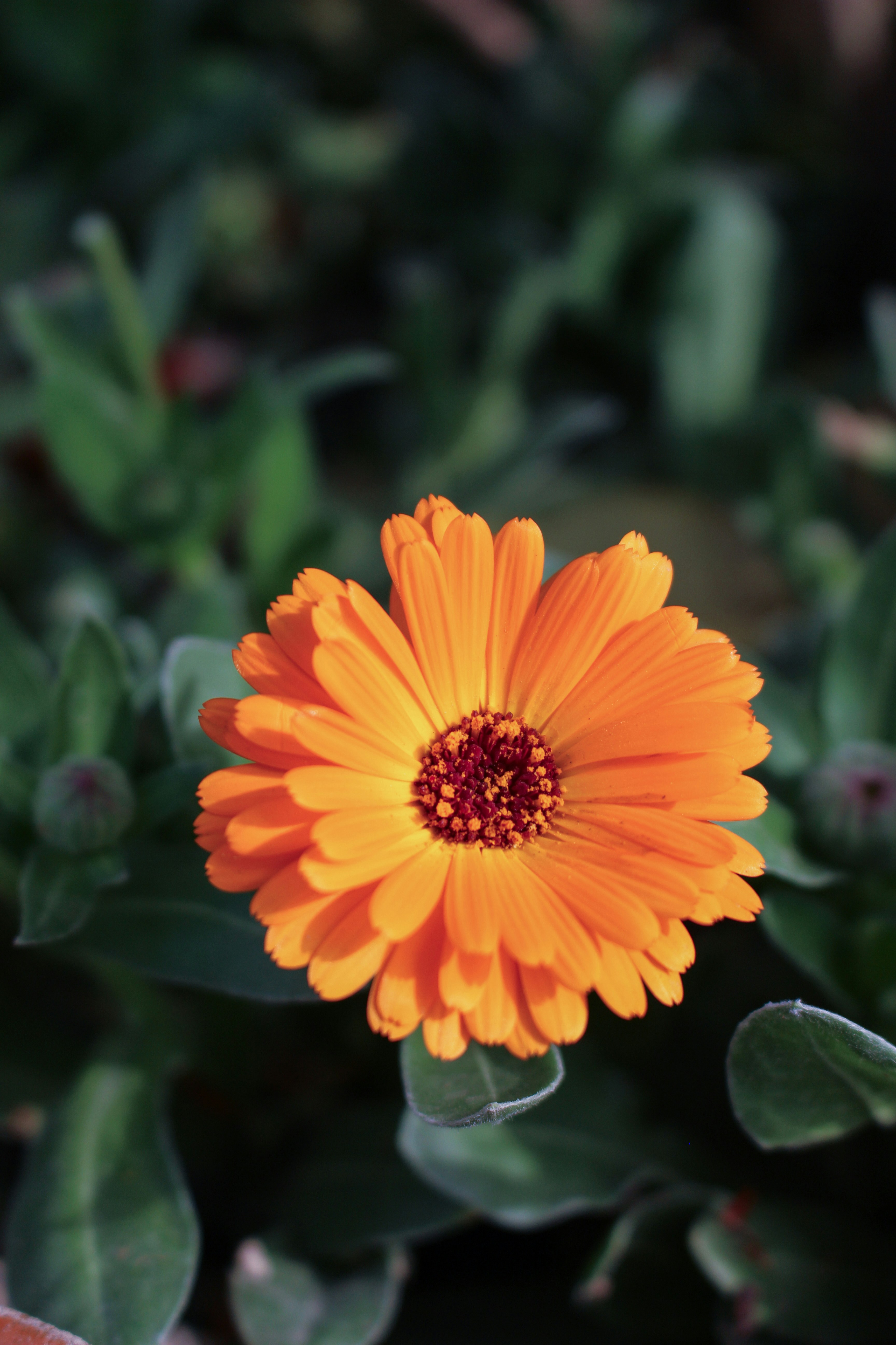 Photo by fatima_mk79