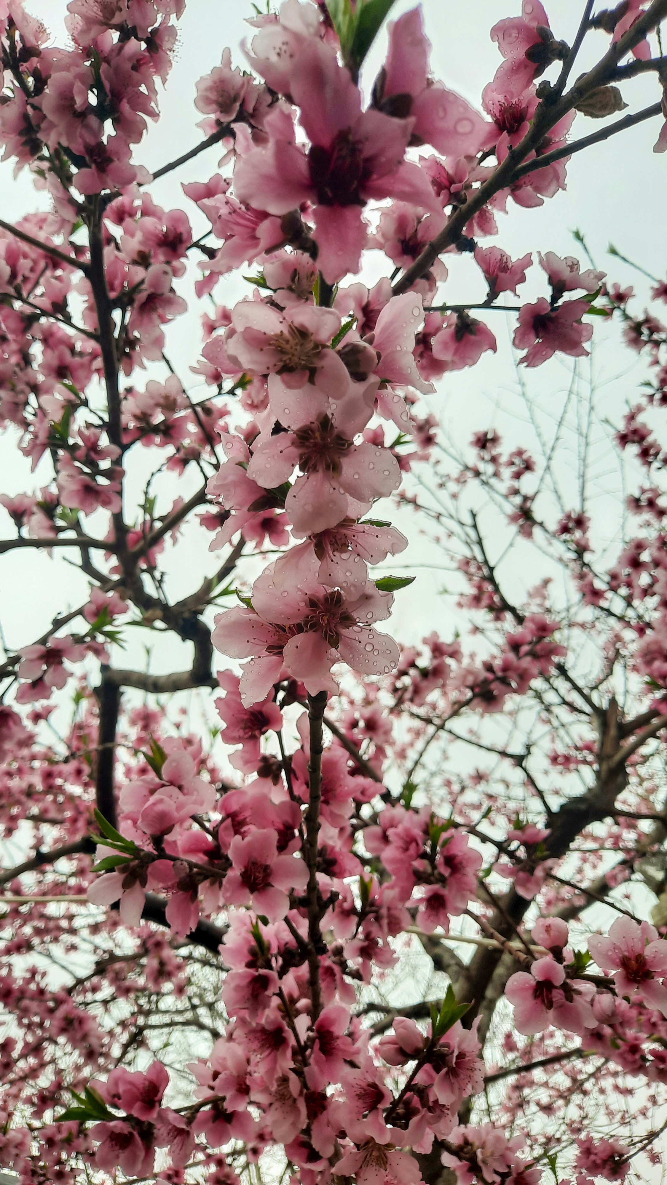 Photo by fatima_mk79