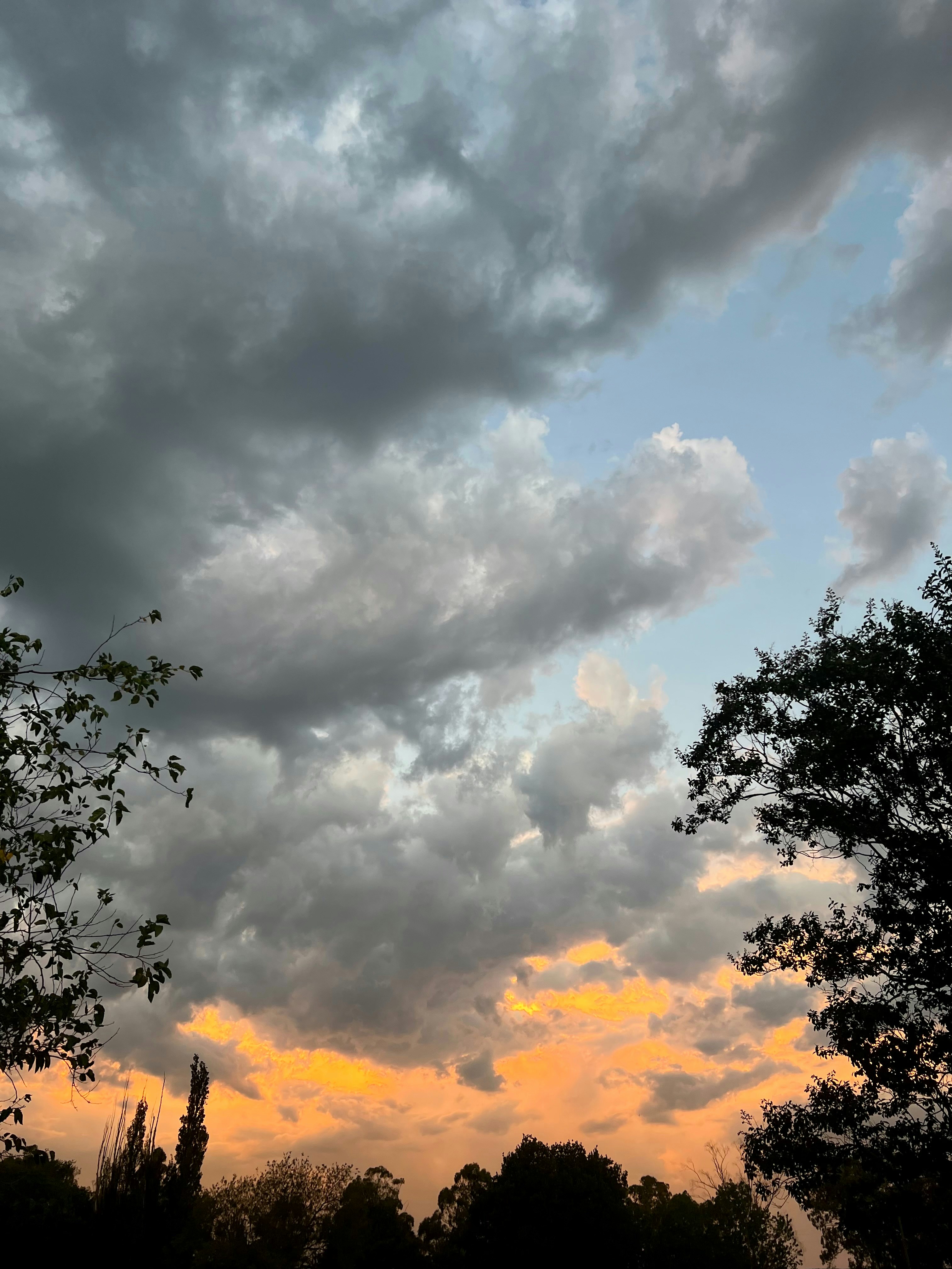 Photo by christiantv