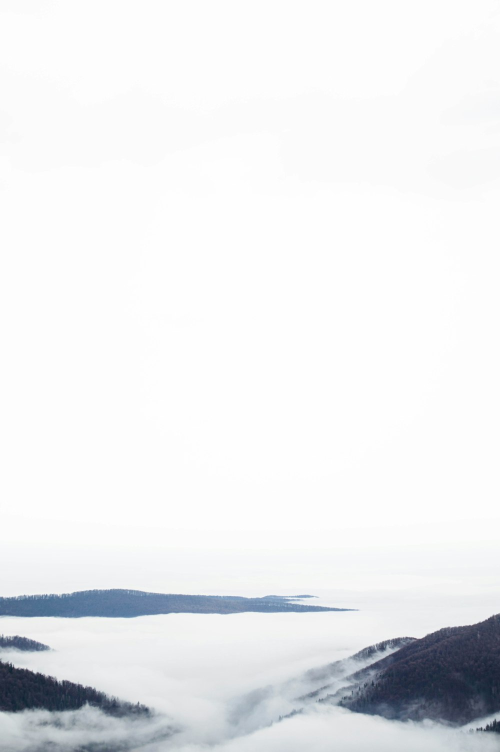 a view of a foggy mountain range from the top of a hill