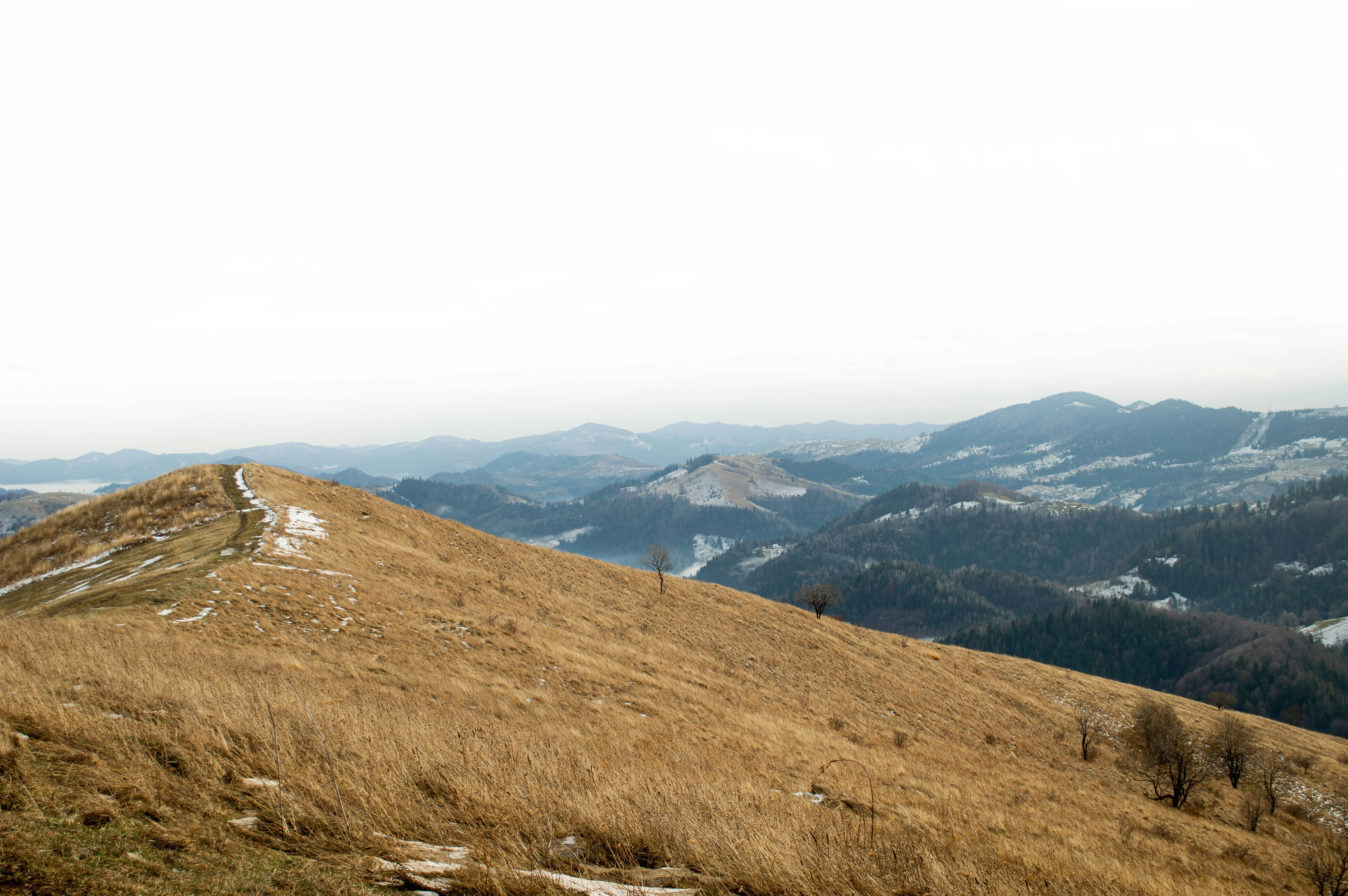 Photo by dmytrodovgan