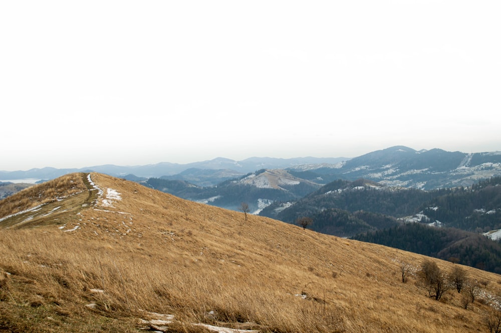 a man standing on top of a grass covered hillside