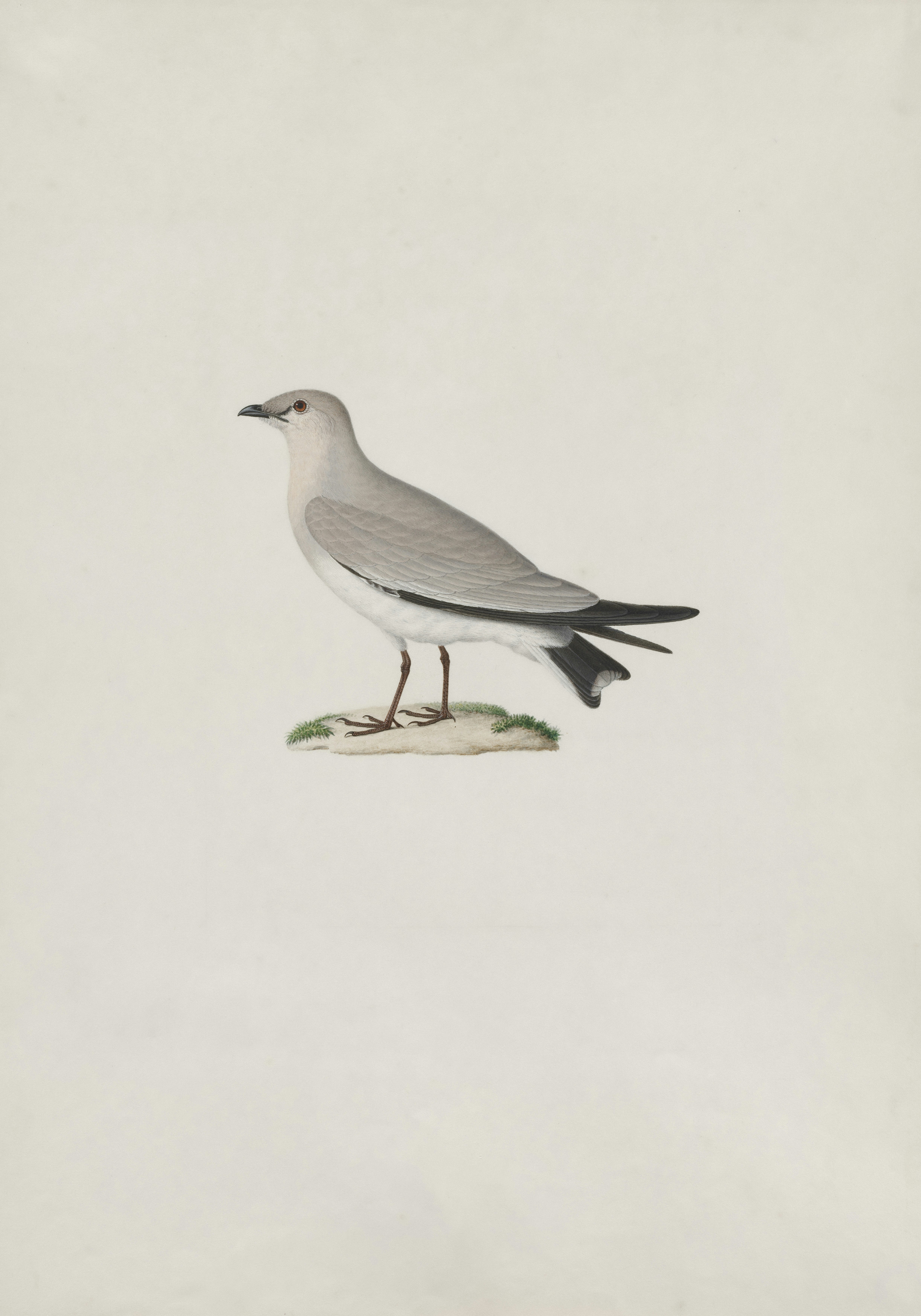 Photo by clevelandart