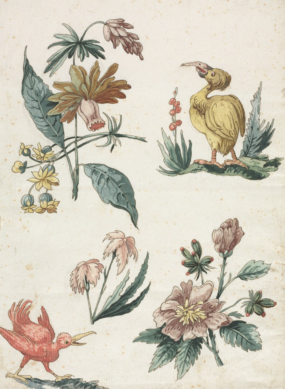 a drawing of flowers and birds on a white background