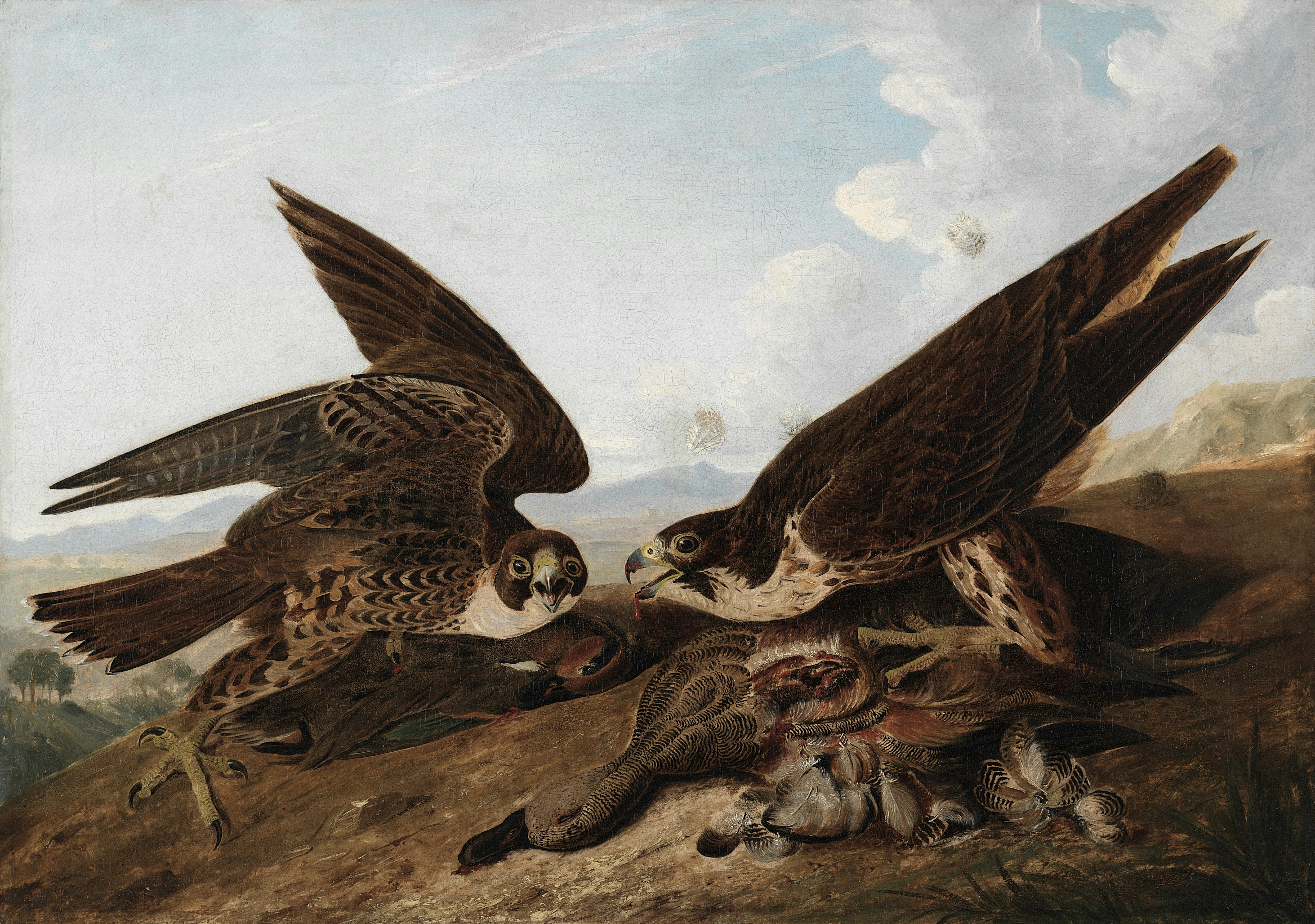 a painting of two birds fighting over a dead animal