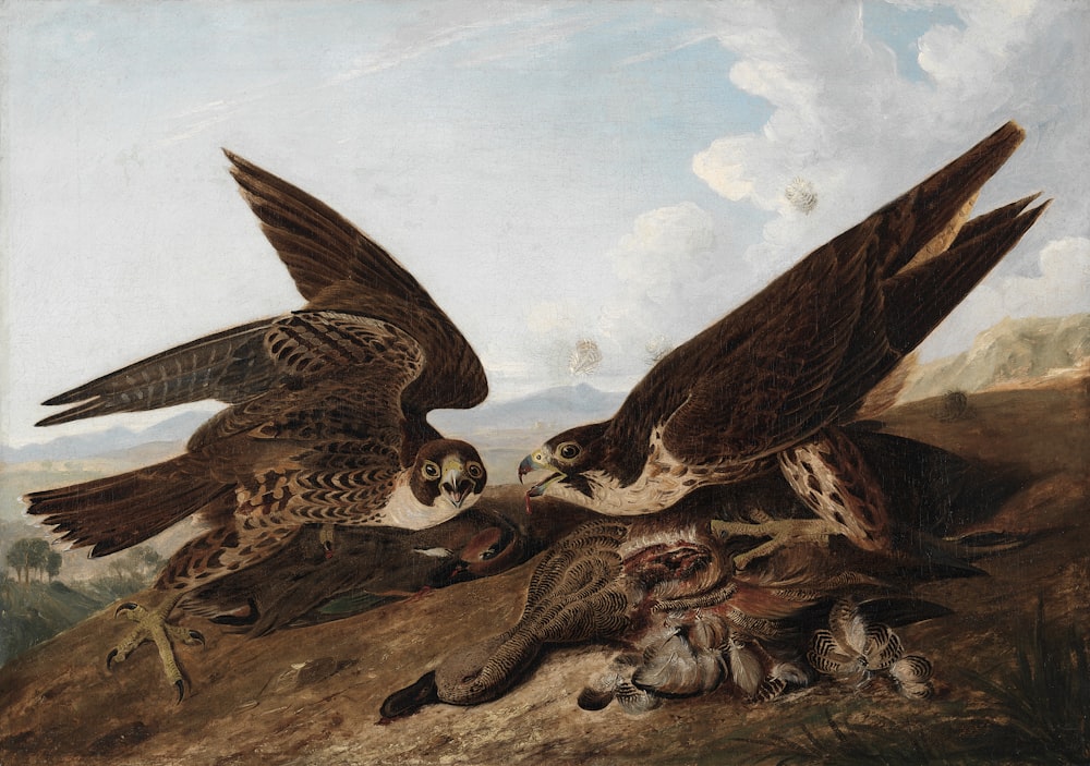 ein Gemälde von zwei Vögeln, die sich um ein totes Tier streiten