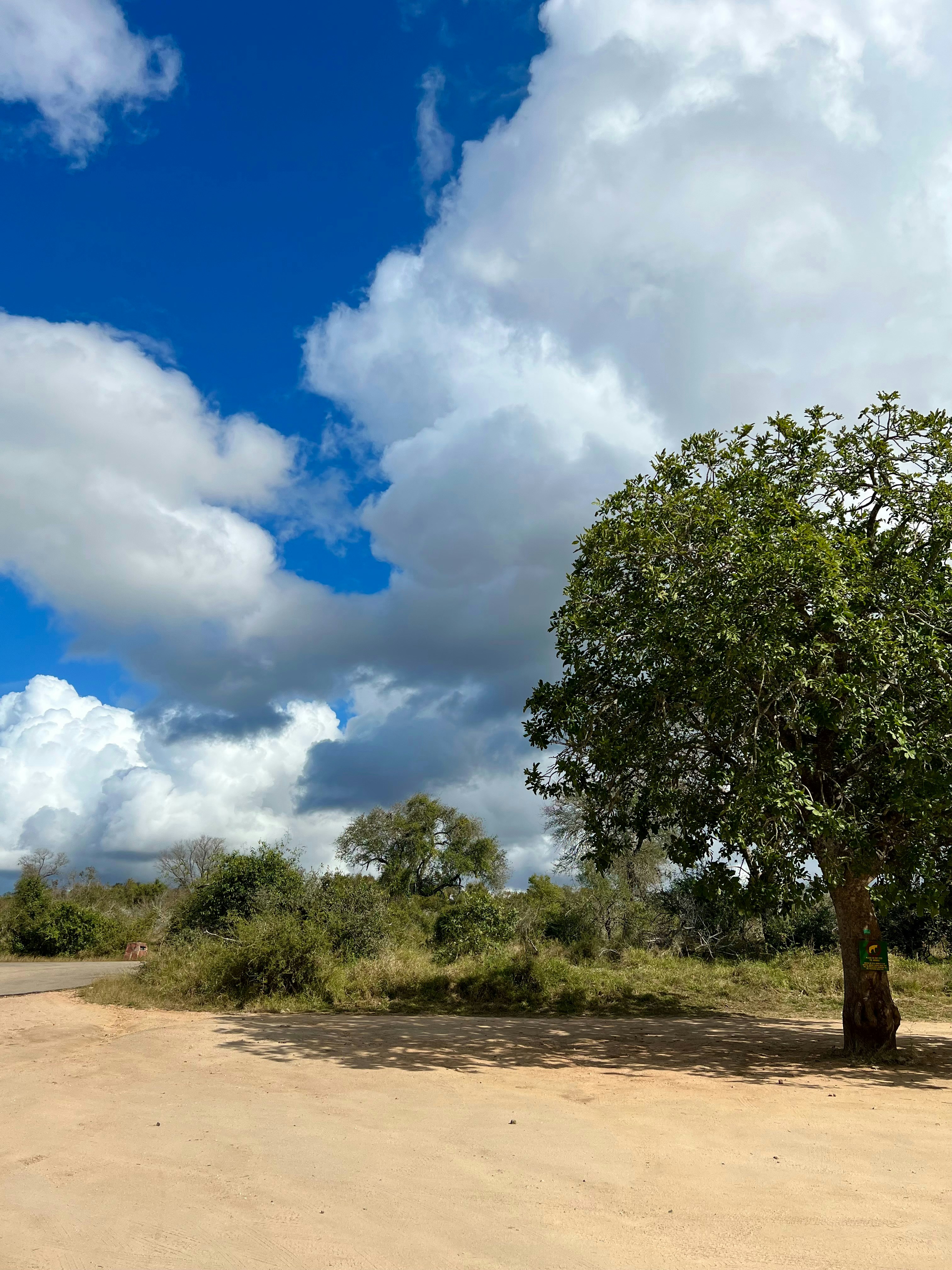 Photo by christiantv