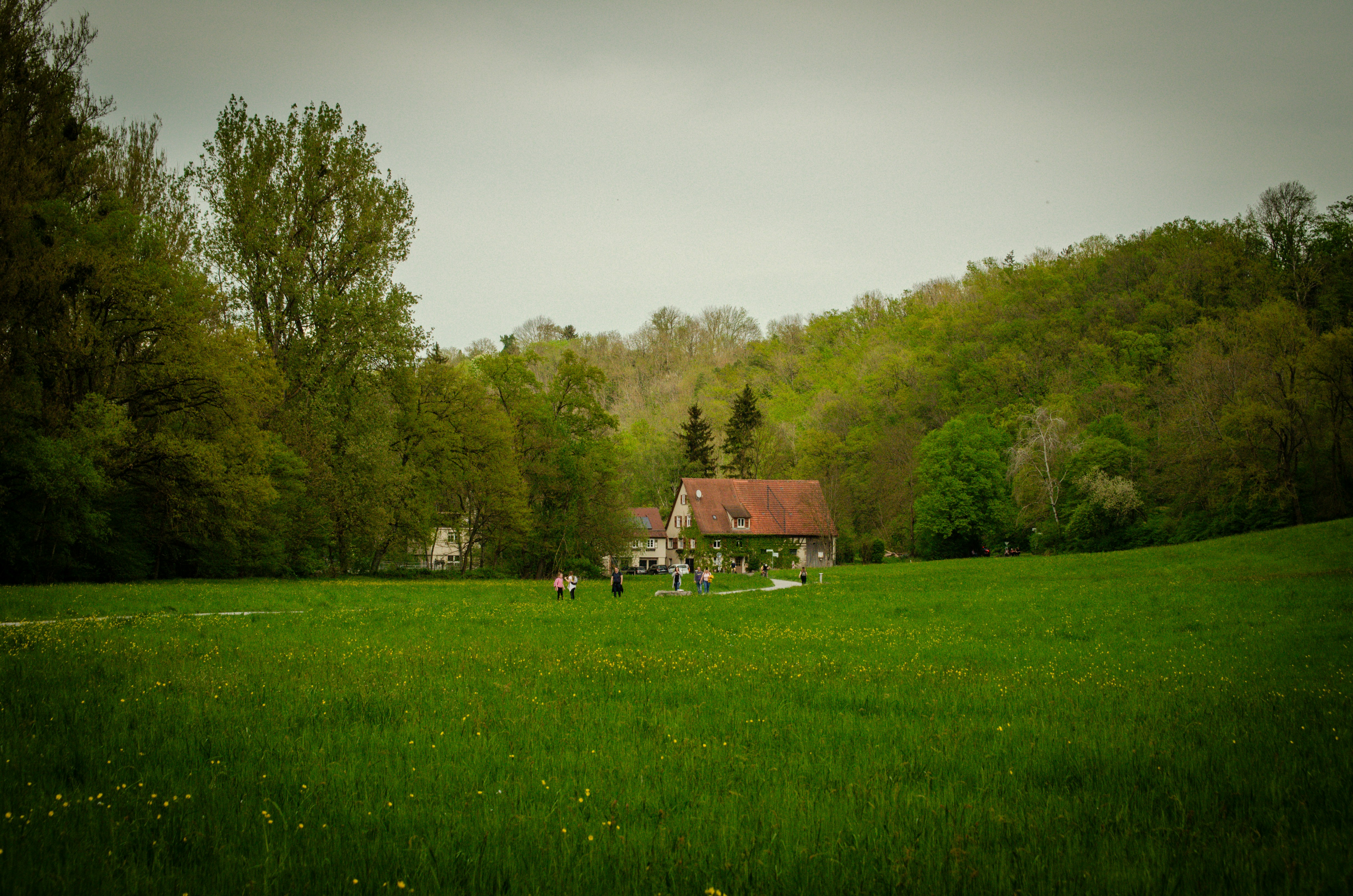 a group of people standing on top of a lush green field