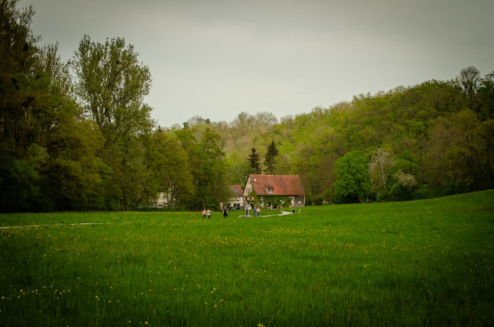 a group of people standing on top of a lush green field