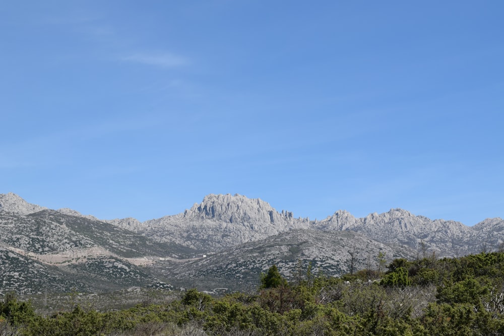 a mountain range with trees and bushes in the foreground