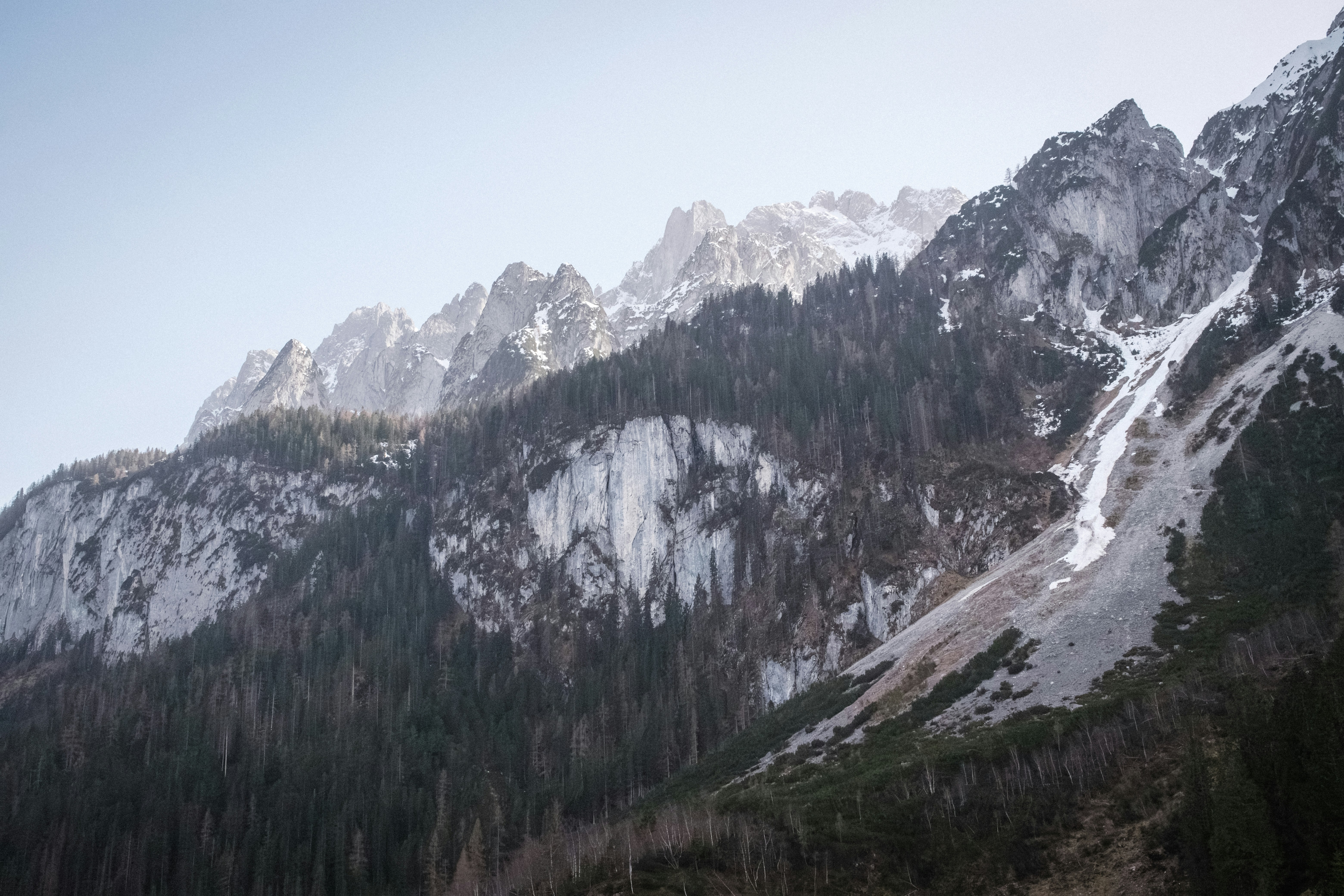 Photo by tomashirsch