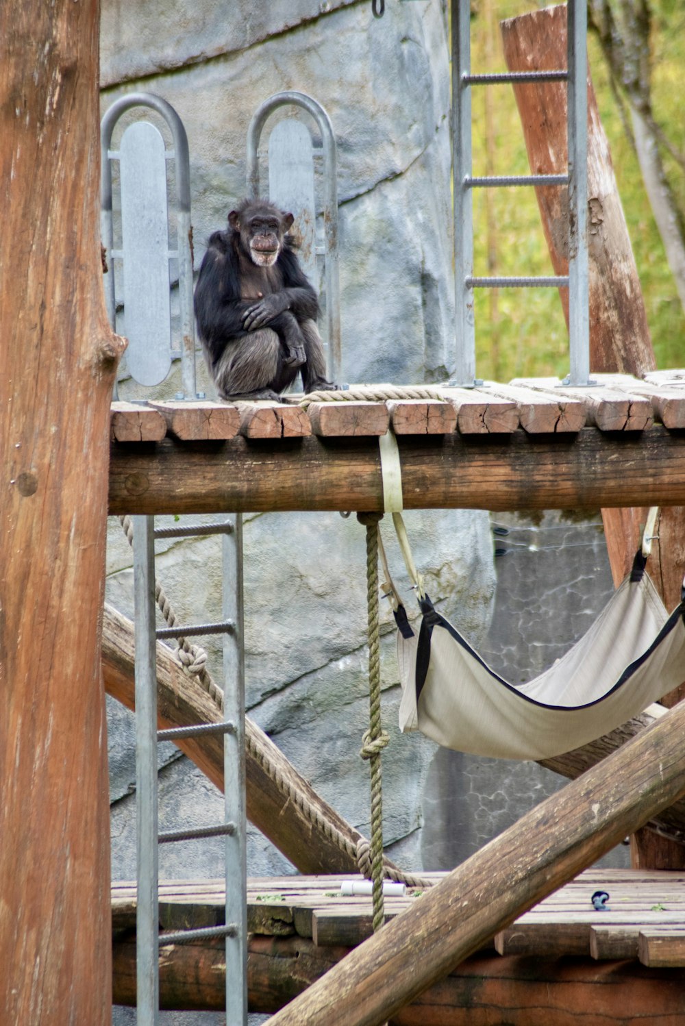a monkey sitting on top of a wooden structure