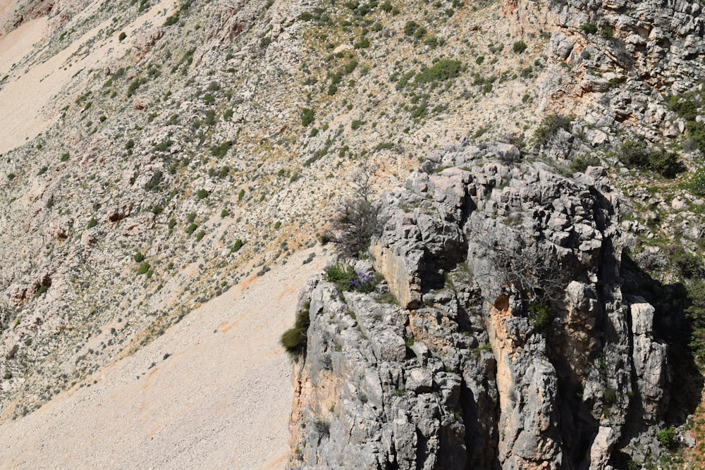 a view of a rocky mountain with a bird flying over it