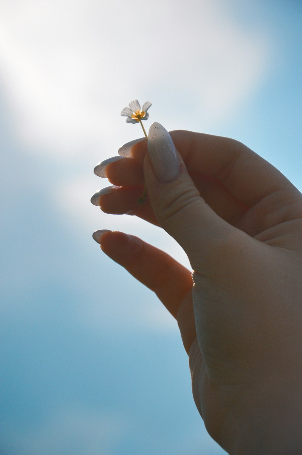 a person holding a tiny flower in their hand