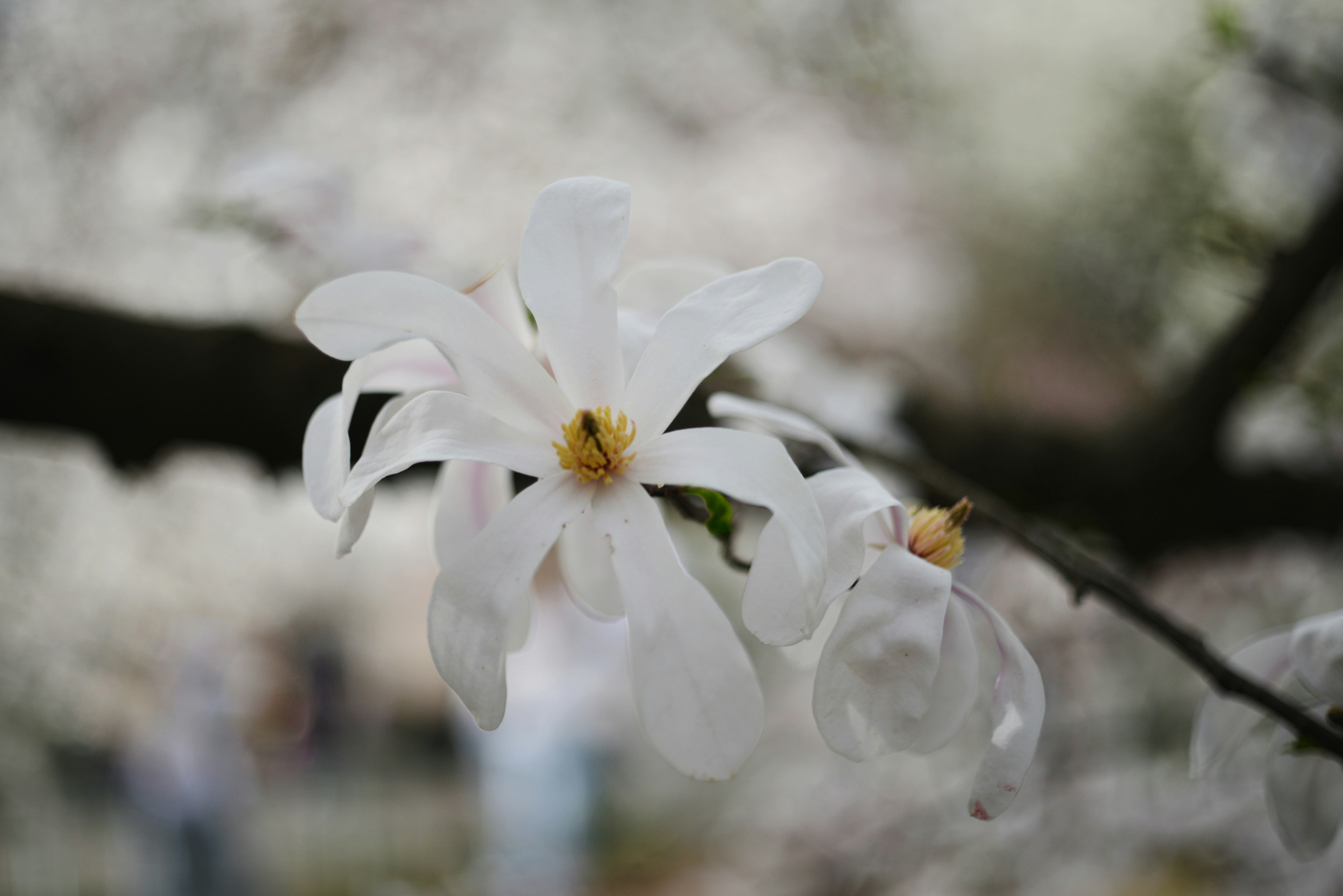 Photo by cherstve_pechivo