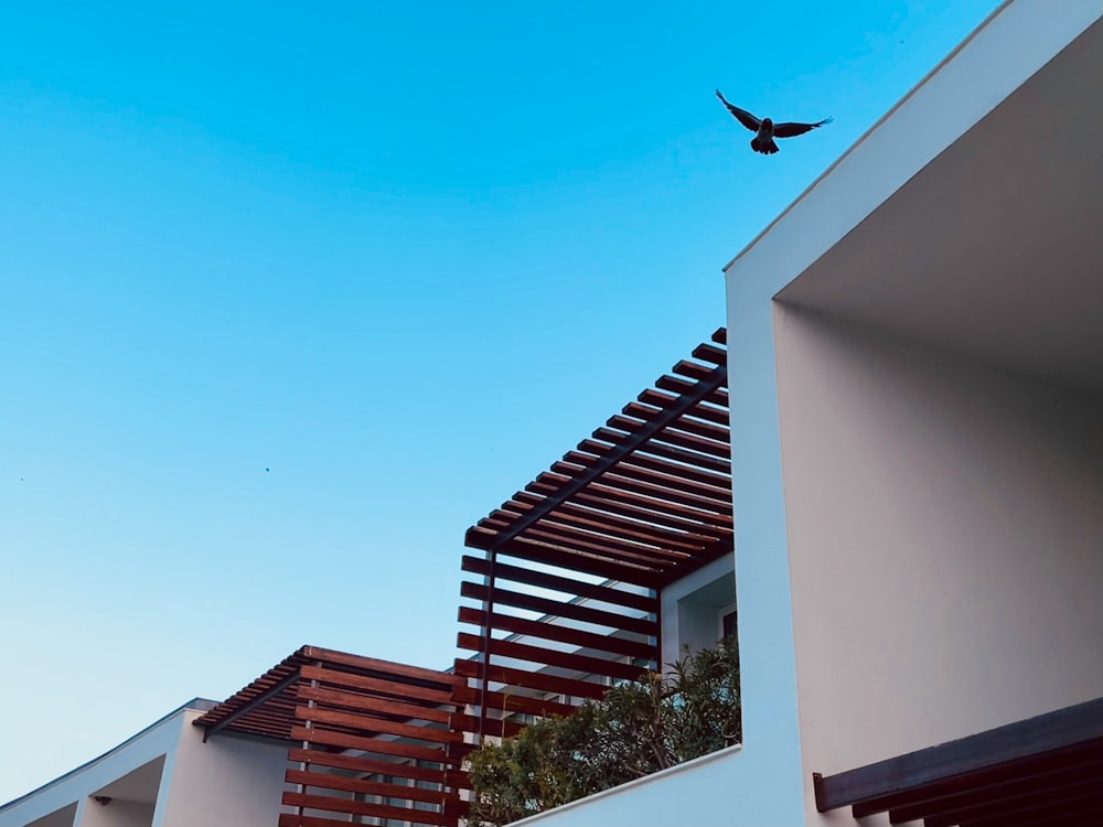 a bird flying over a building with wooden slats