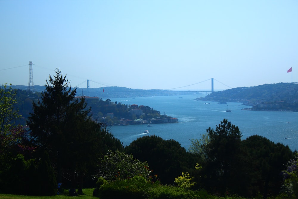 a large body of water surrounded by trees