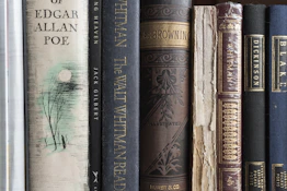 a row of books sitting on top of a shelf