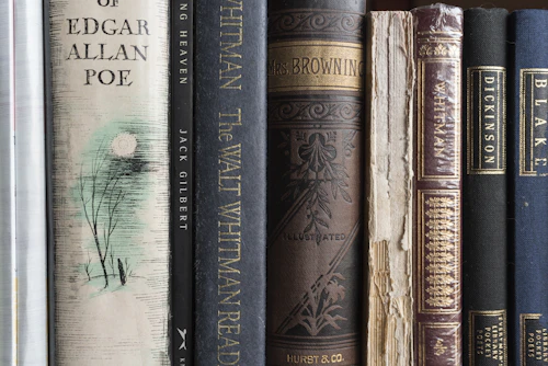 a row of books sitting on top of a shelf