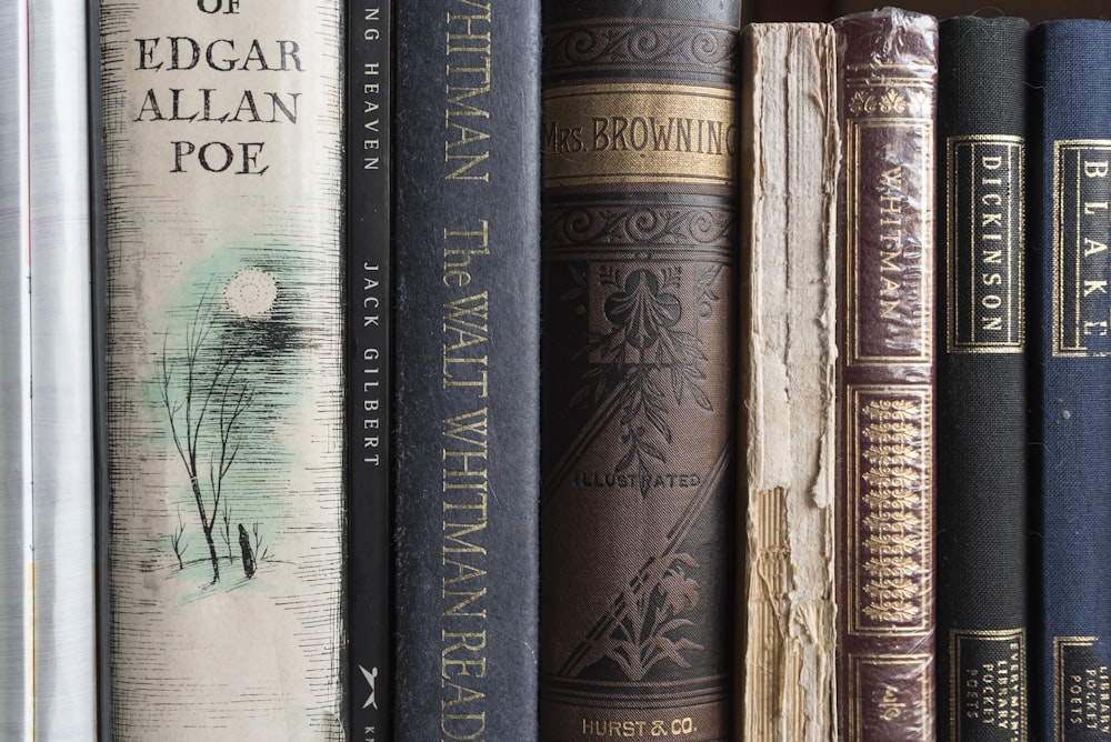 a row of books sitting on top of a shelf