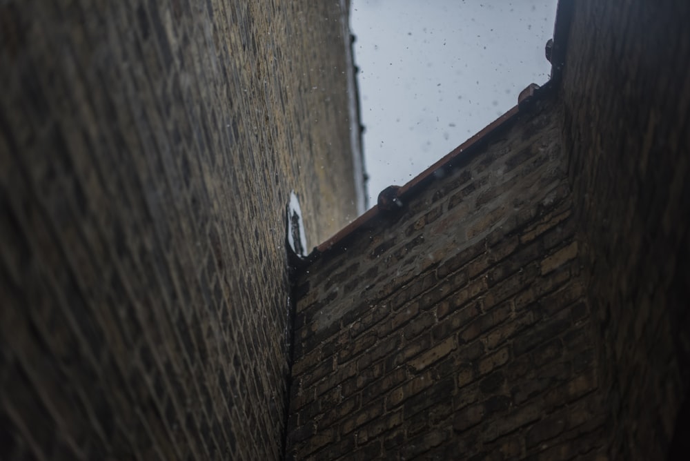 a view of a brick building through a window