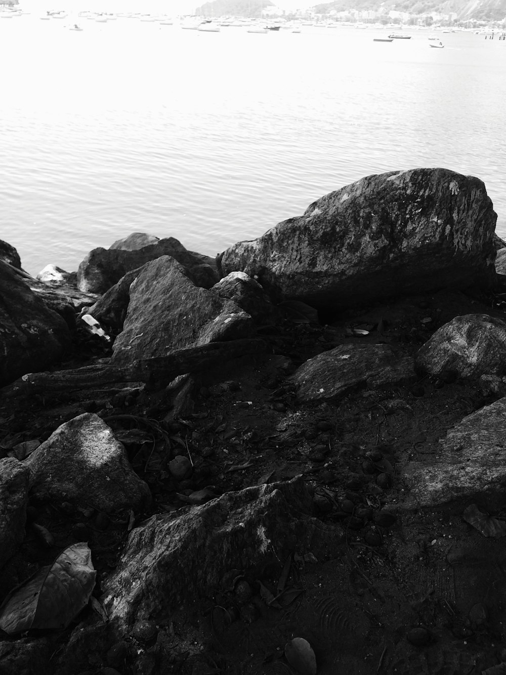 a black and white photo of rocks and water