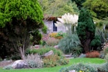 a garden filled with lots of different types of flowers