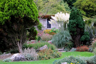 a garden filled with lots of different types of flowers