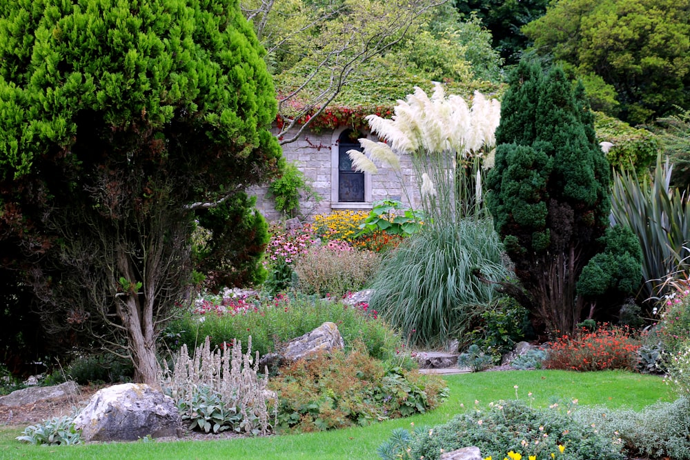 Un jardín lleno de muchos tipos diferentes de flores