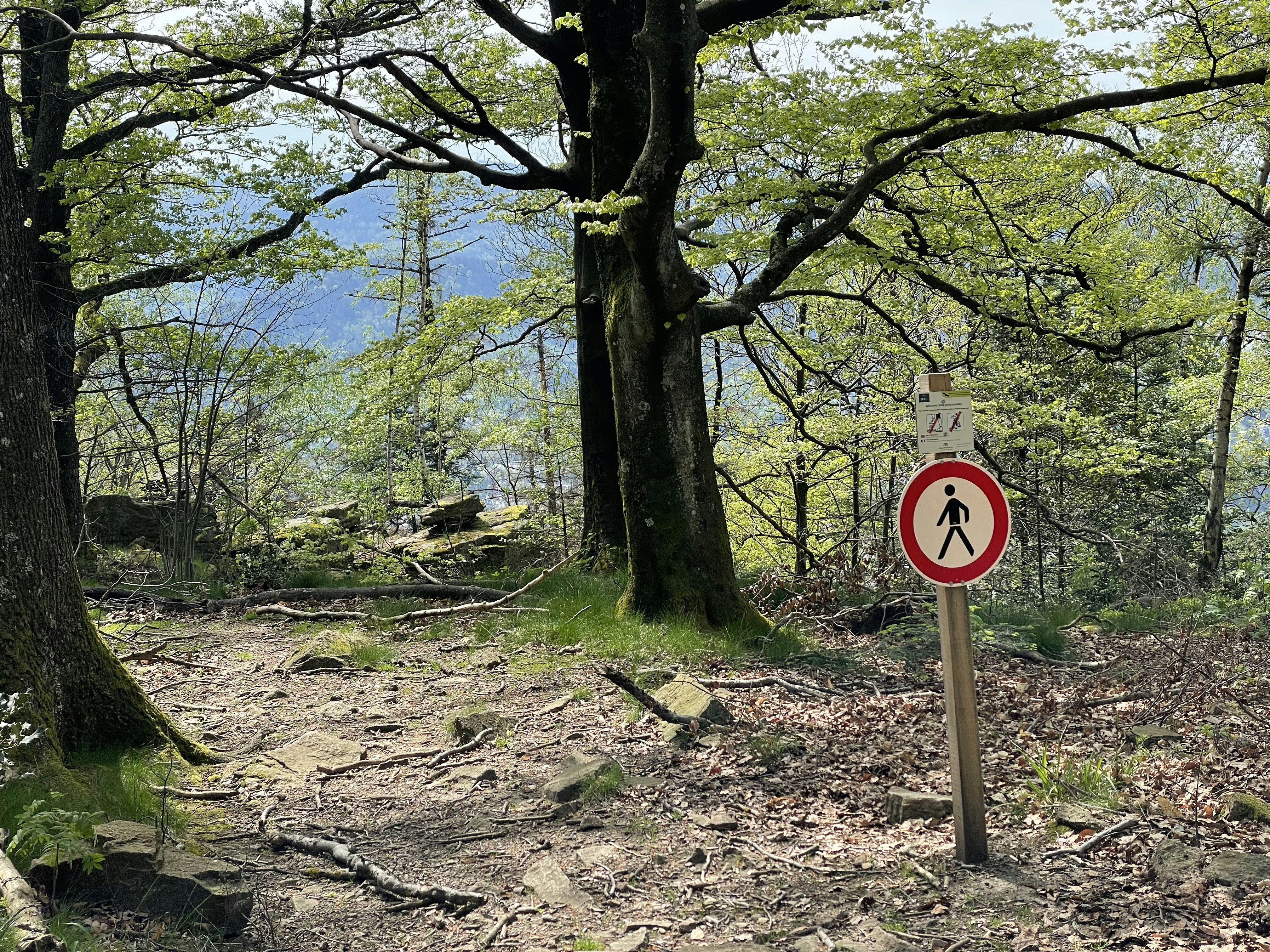 A red and white sign in the middle of a forest