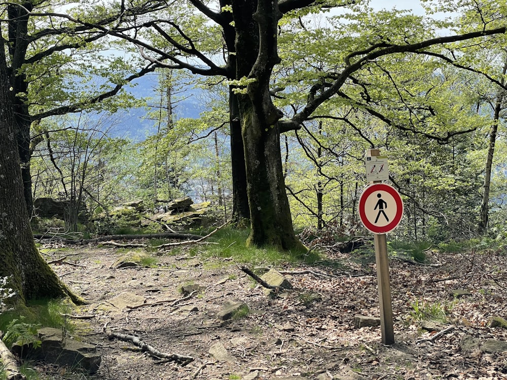 a red and white sign sitting in the middle of a forest