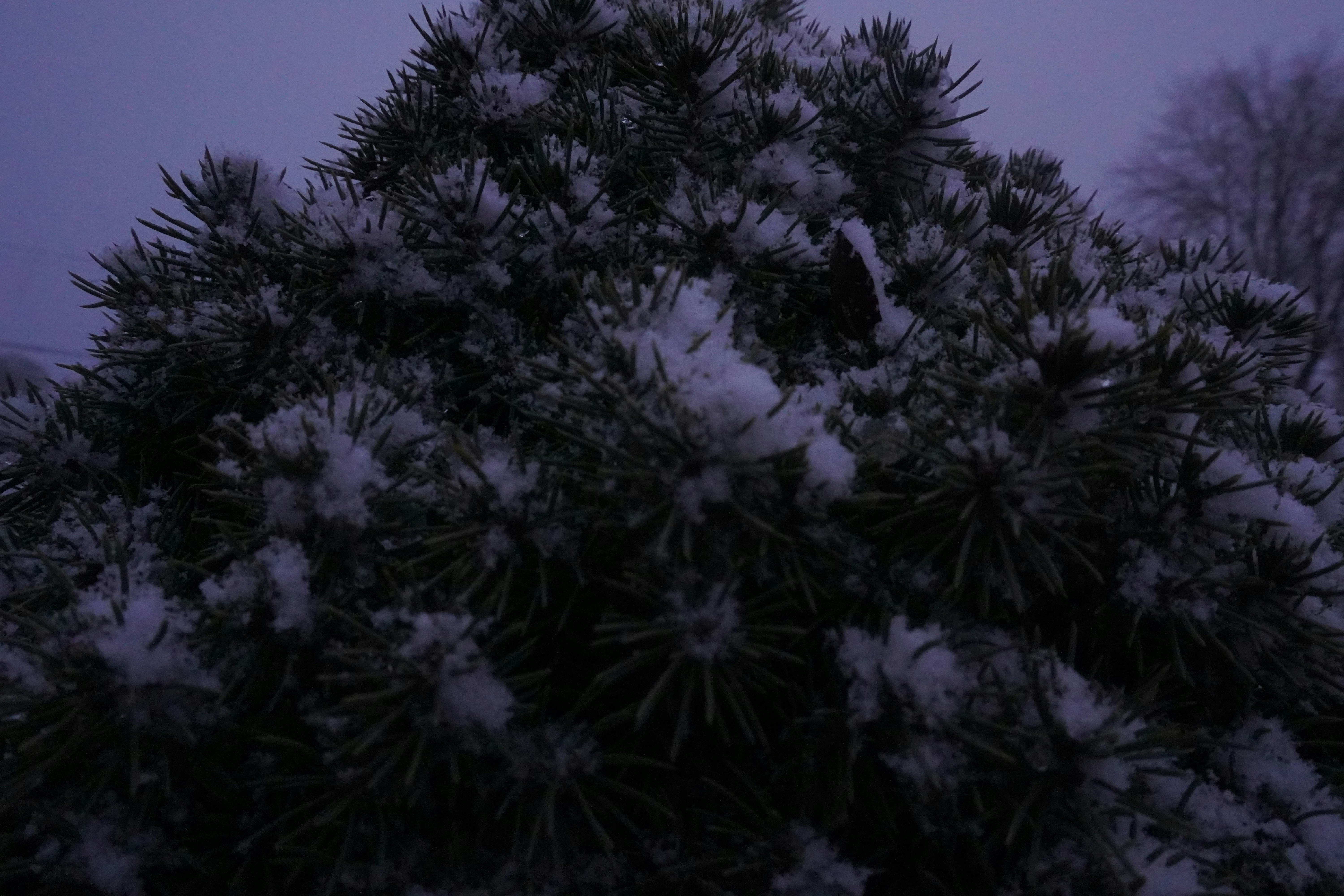 Photo by katyal04