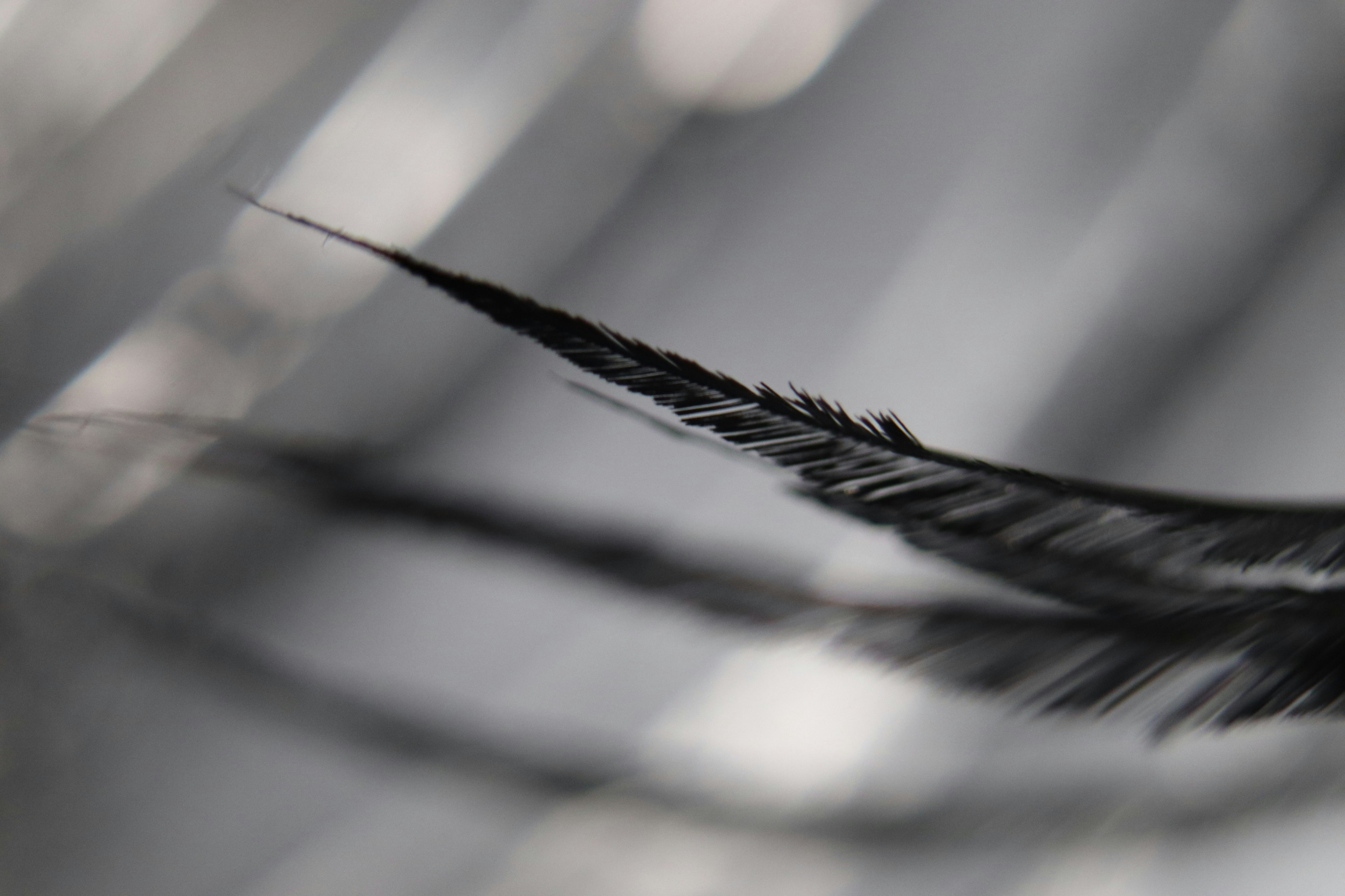 Photo by shawny_yana