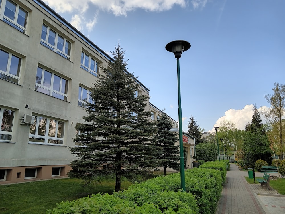 a street light sitting next to a lush green park