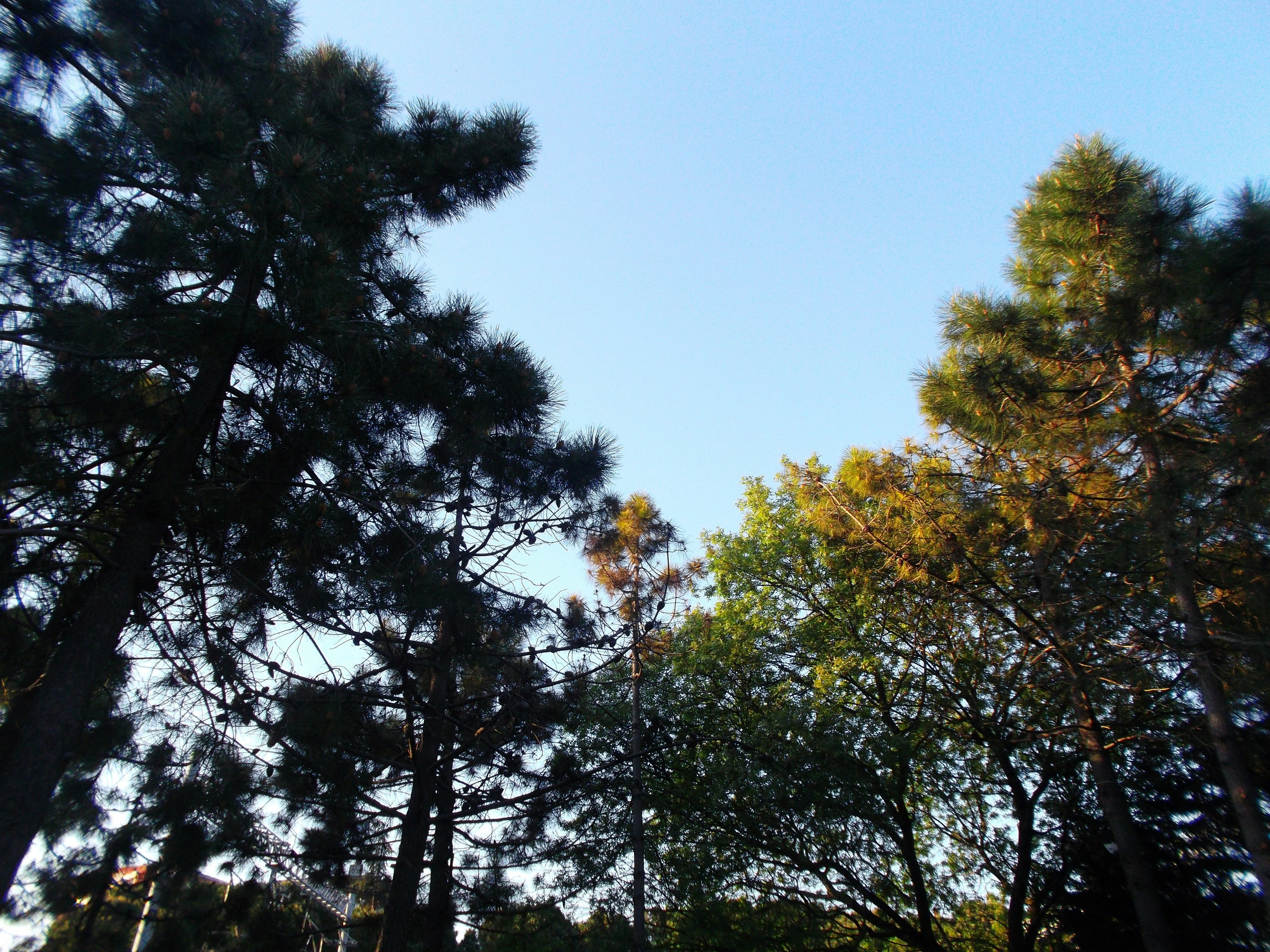 Photo by berfinisildak