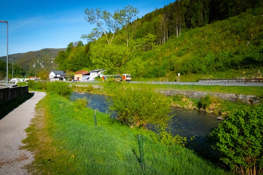 a river running through a lush green forest