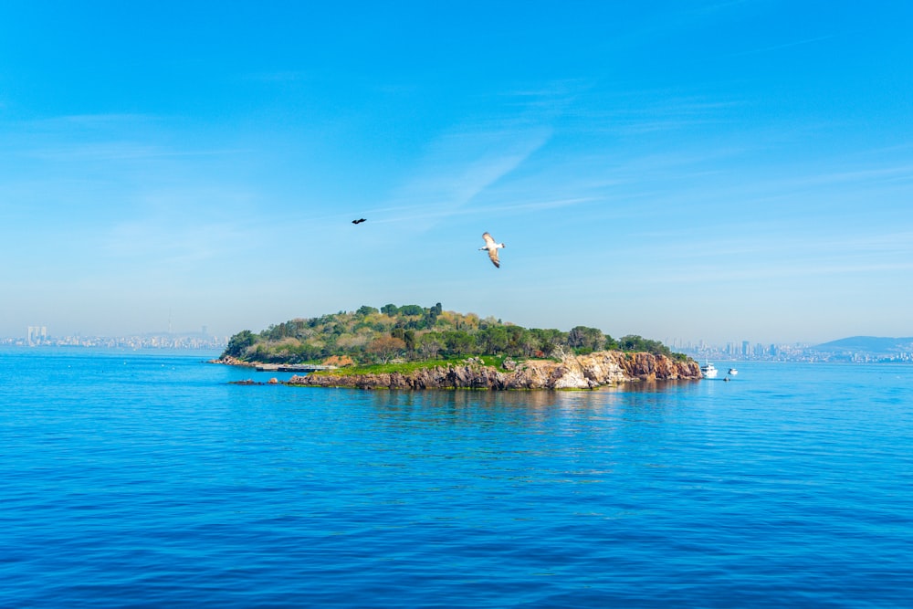 a bird flying over a small island in the middle of the ocean