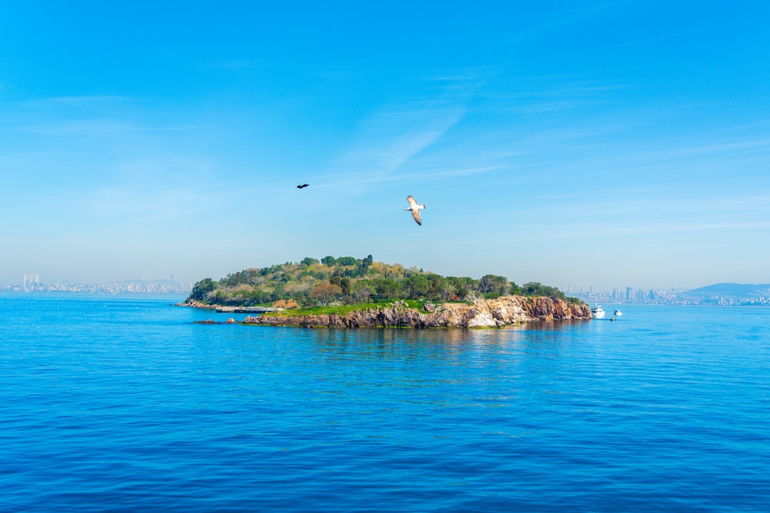 a bird flying over a small island in the middle of the ocean, Kaşık Island on Istanbul turkiye